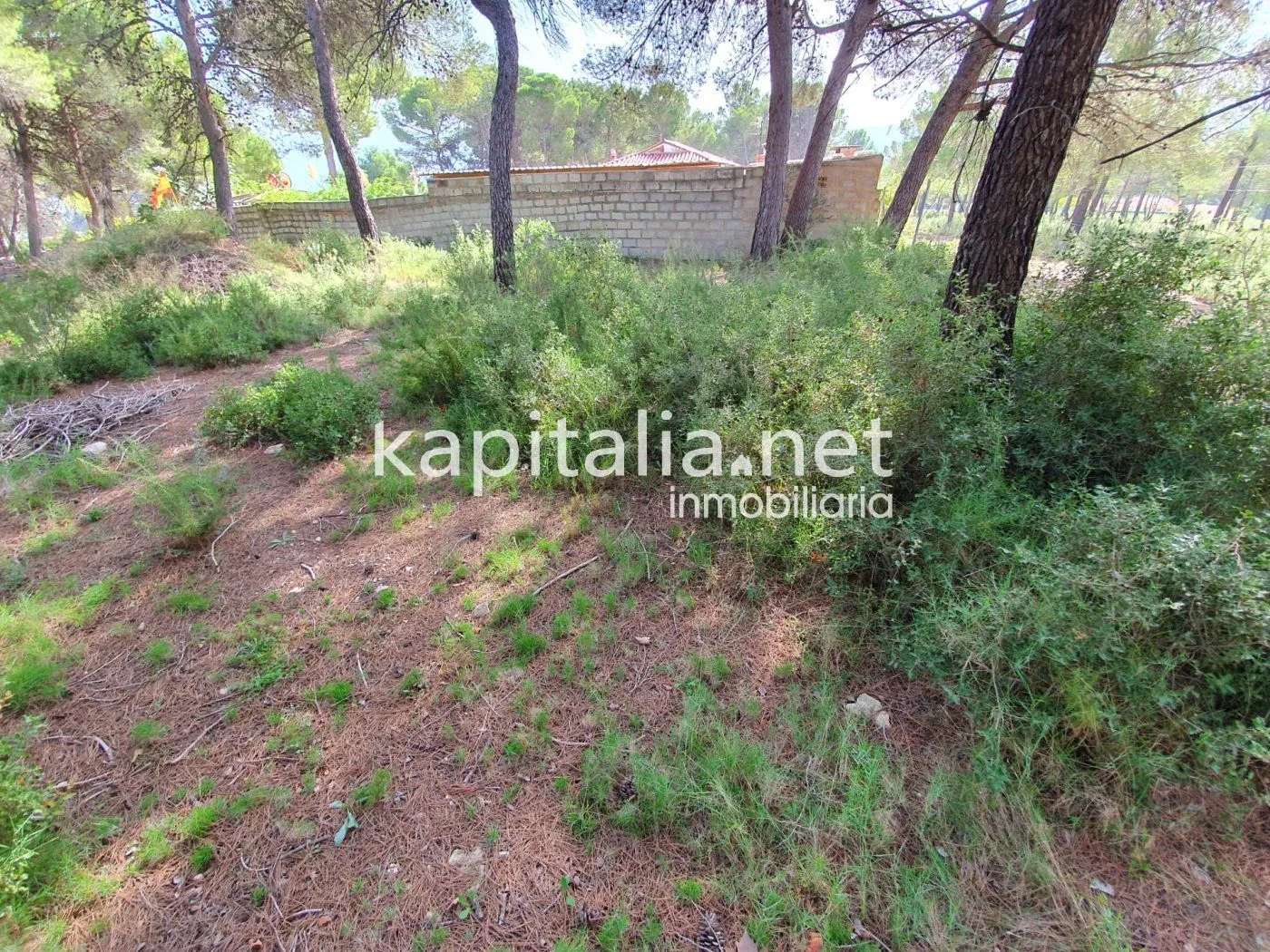 Eigendom te Verkoop in Ontinyent