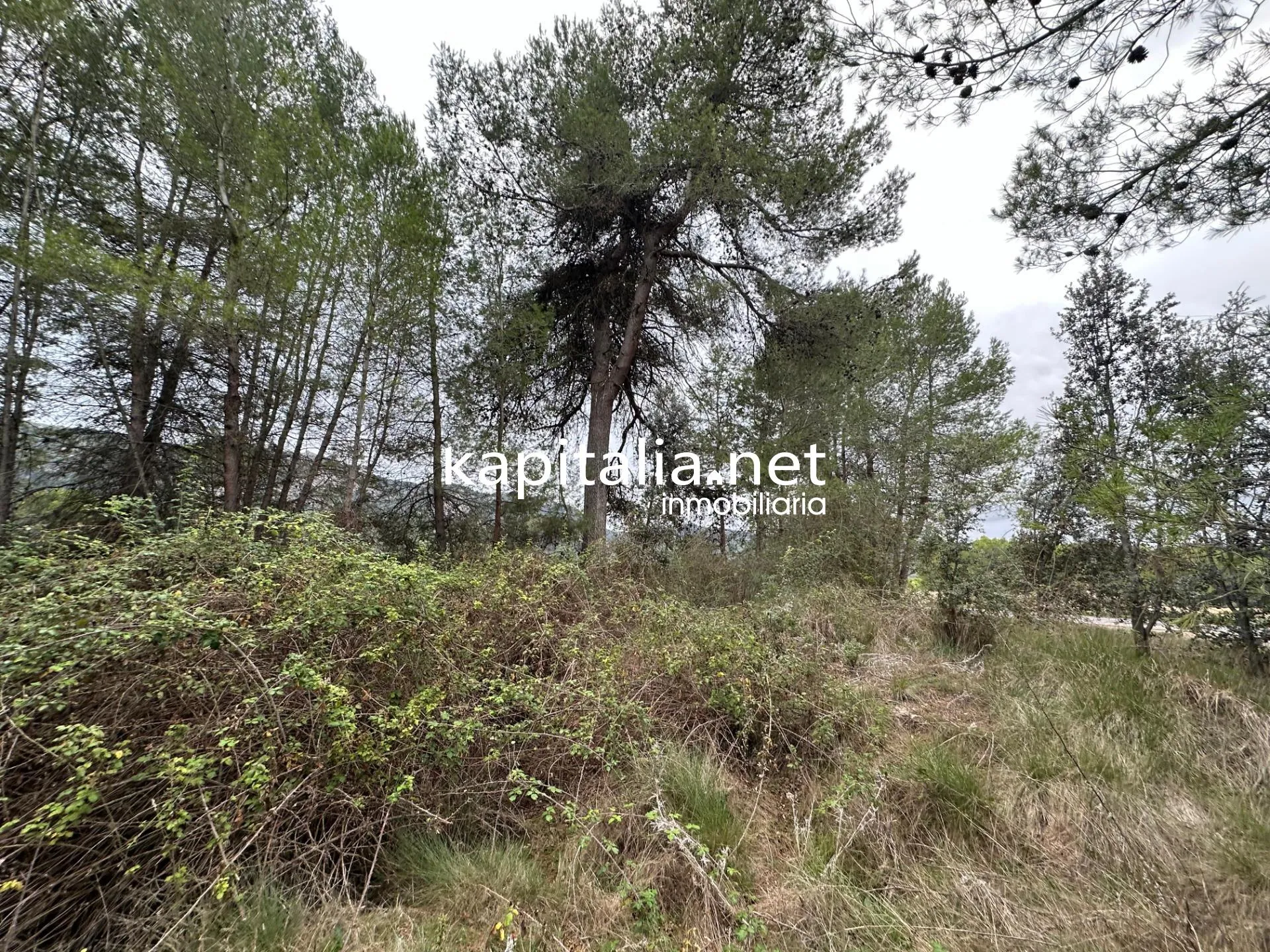 09442 - Parcela a la venta en Alfafara