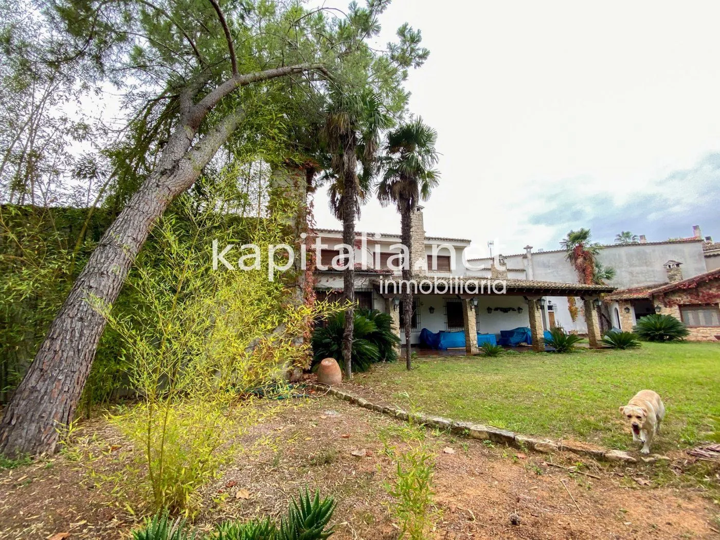 06369 - Casa señorial con gran jardín en el centro de Atzeneta d'Albaida