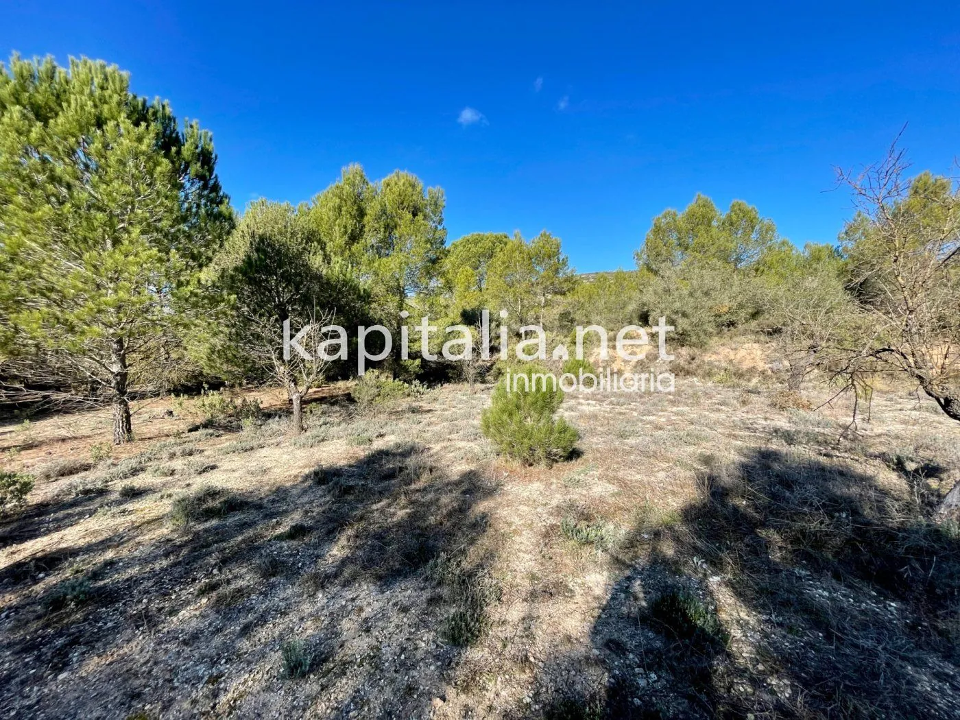 07309 - Terreno a la venta en Bocairent.