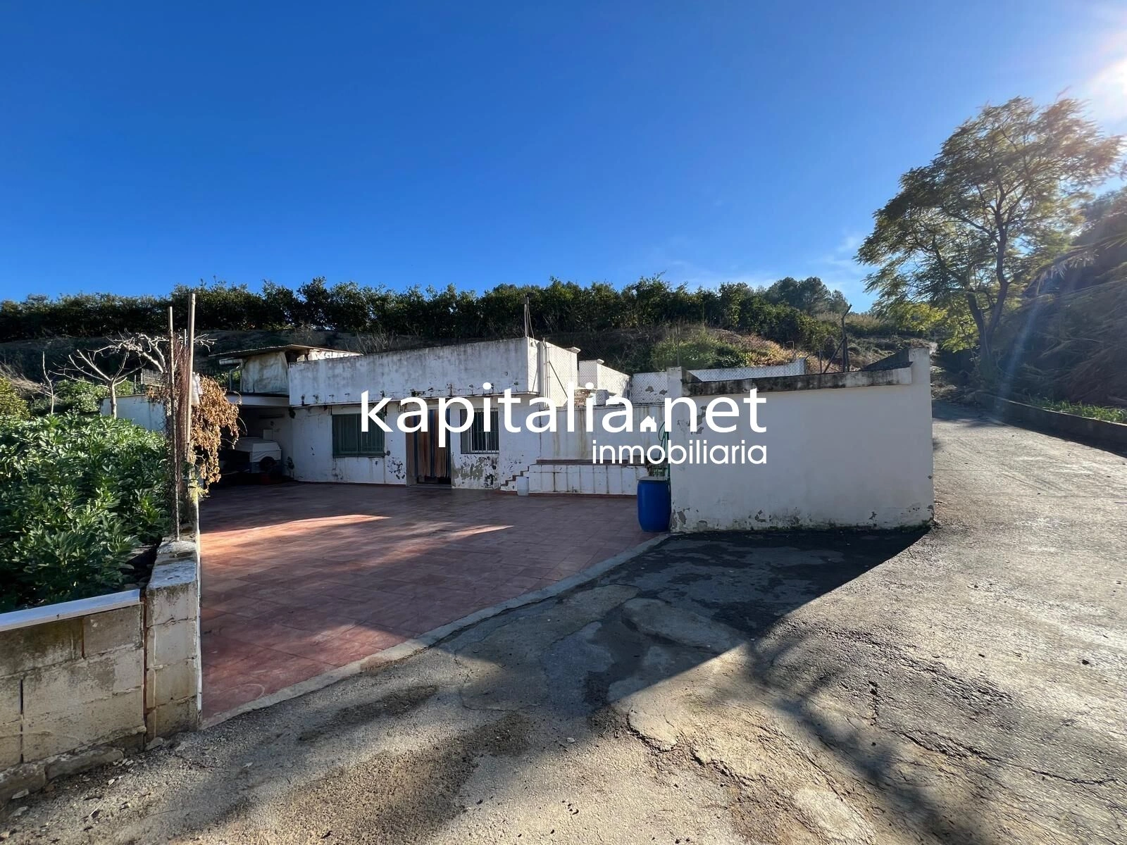 09780 - FINCA DE NARANJOS A LA VENTA EN LA LLOSA DE RANES