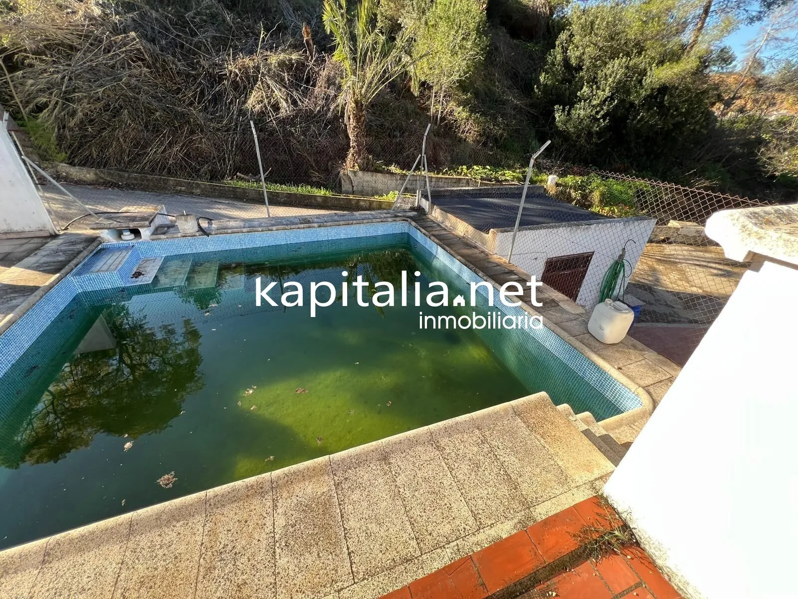 09780 - FINCA DE NARANJOS A LA VENTA EN LA LLOSA DE RANES