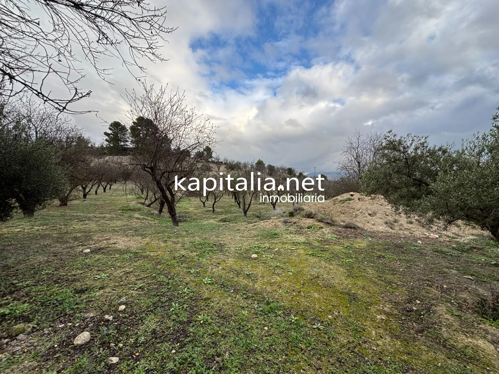 Finca con mucho terreno en Benilloba