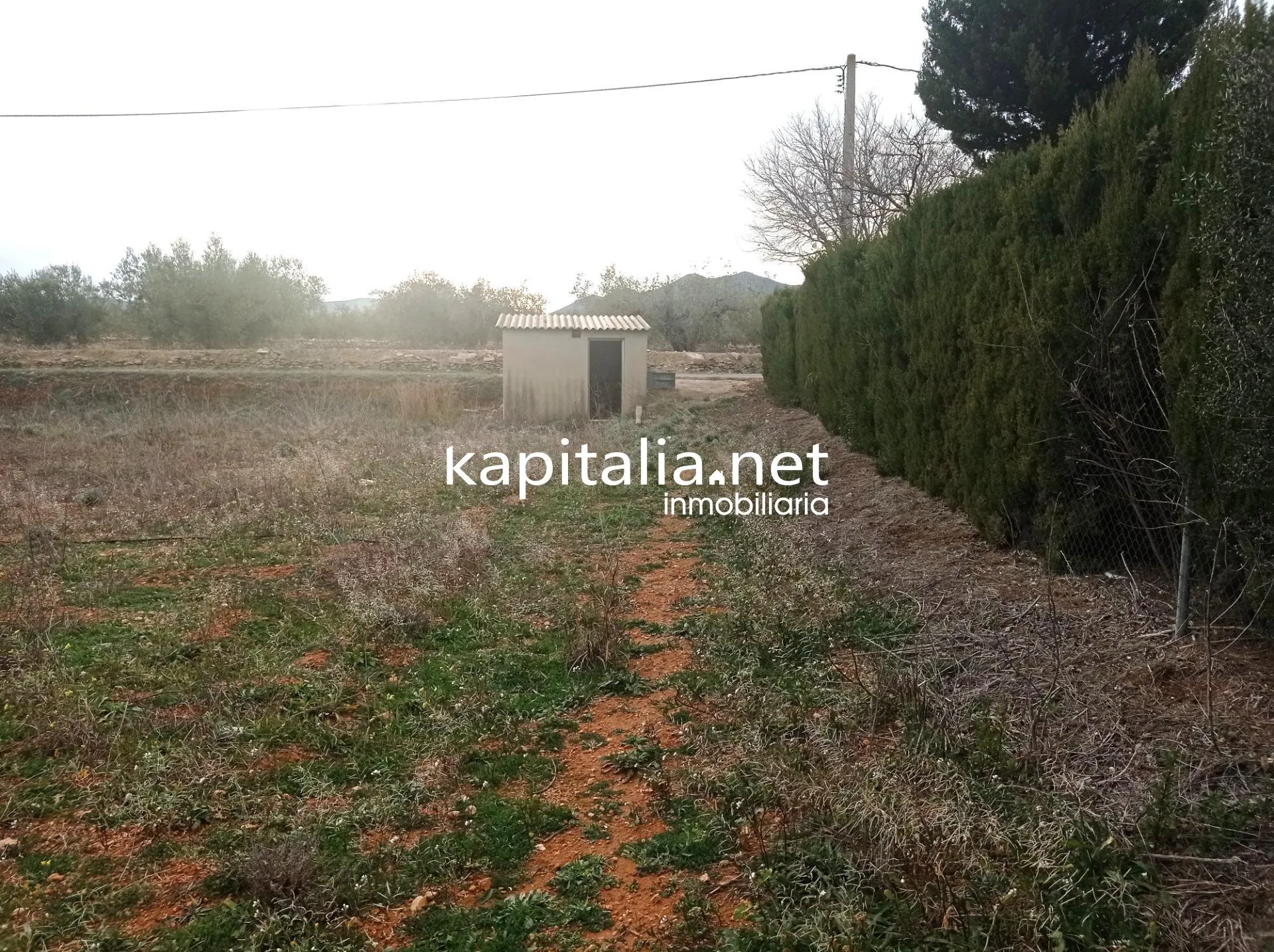 09680 - TERRENO A LA VENTA EN AIELO DE MALFERIT CON CASITA DE APEROS