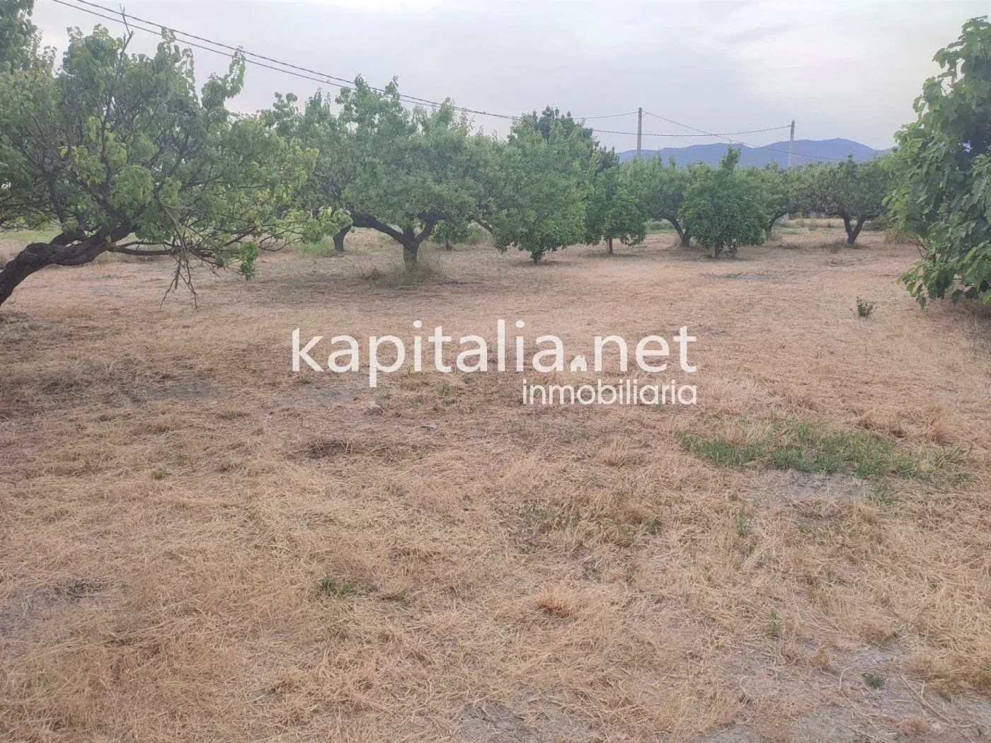 Eigendom te Verkoop in Ontinyent