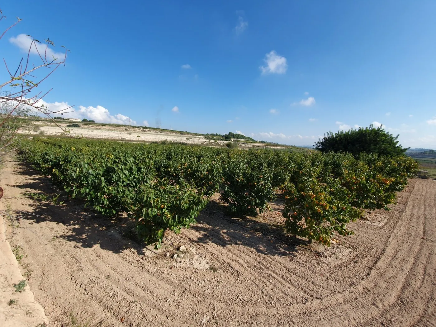 Parcela a la venta en Ontinyent