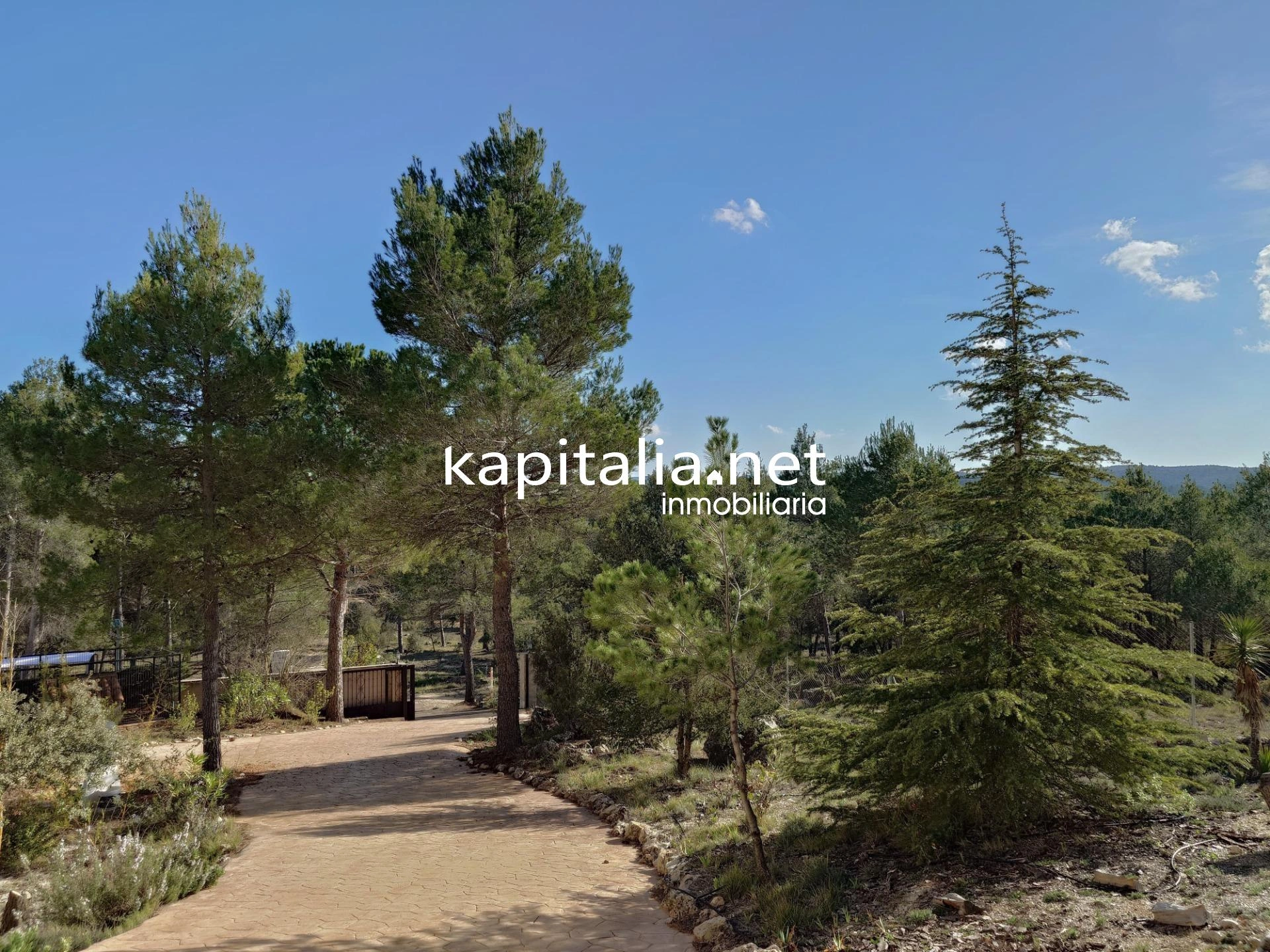 09796 - Chalet a la venta en la Sierra Mariola, Bocairent
