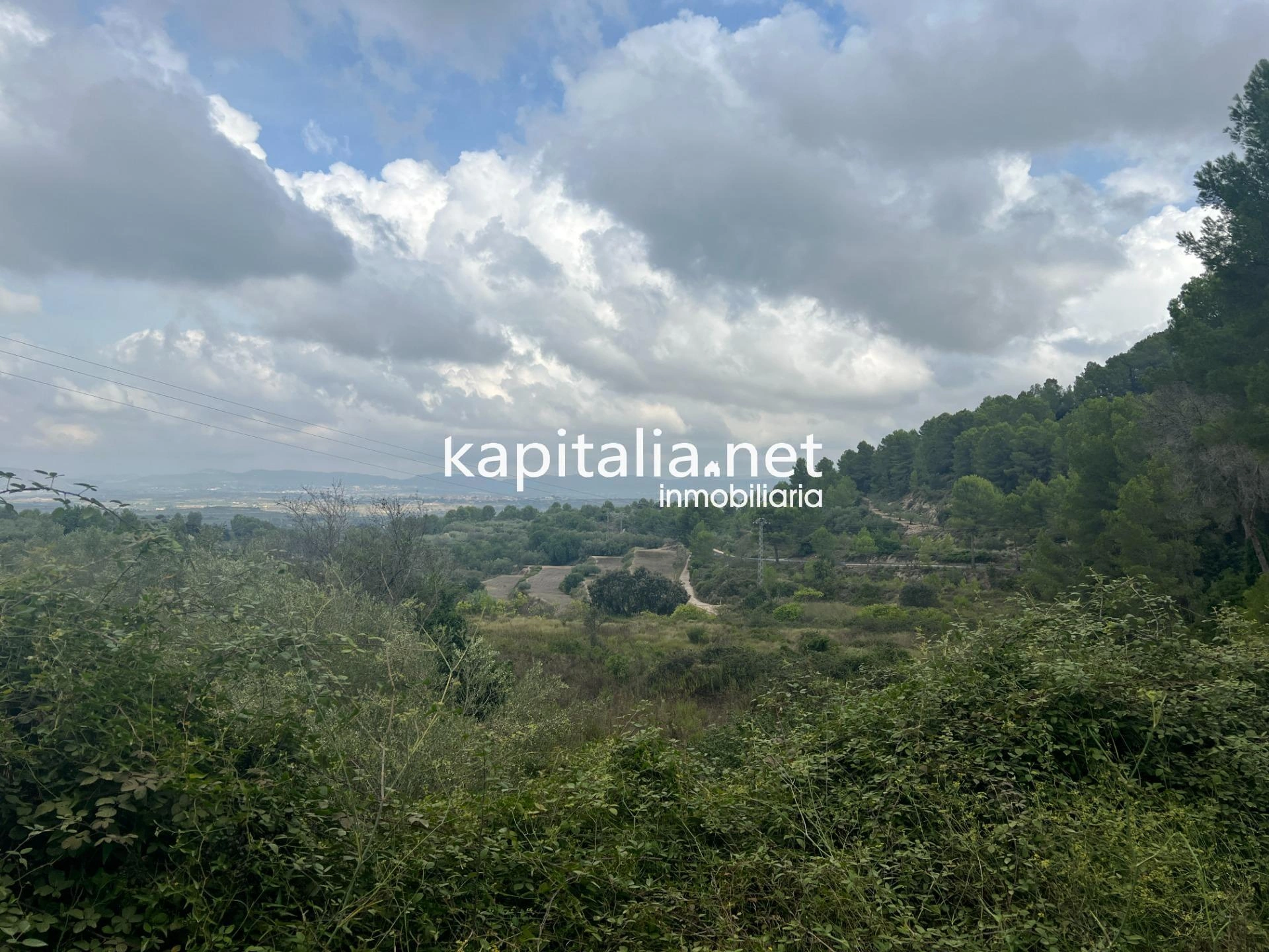 08642 - Terreno a la venta en Ráfol de Salem