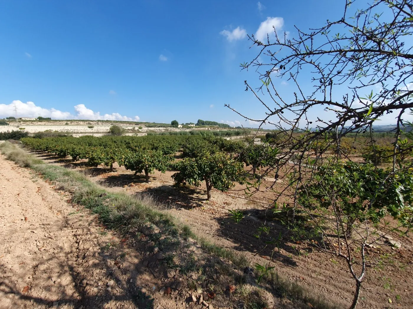 Parcela a la venta en Ontinyent