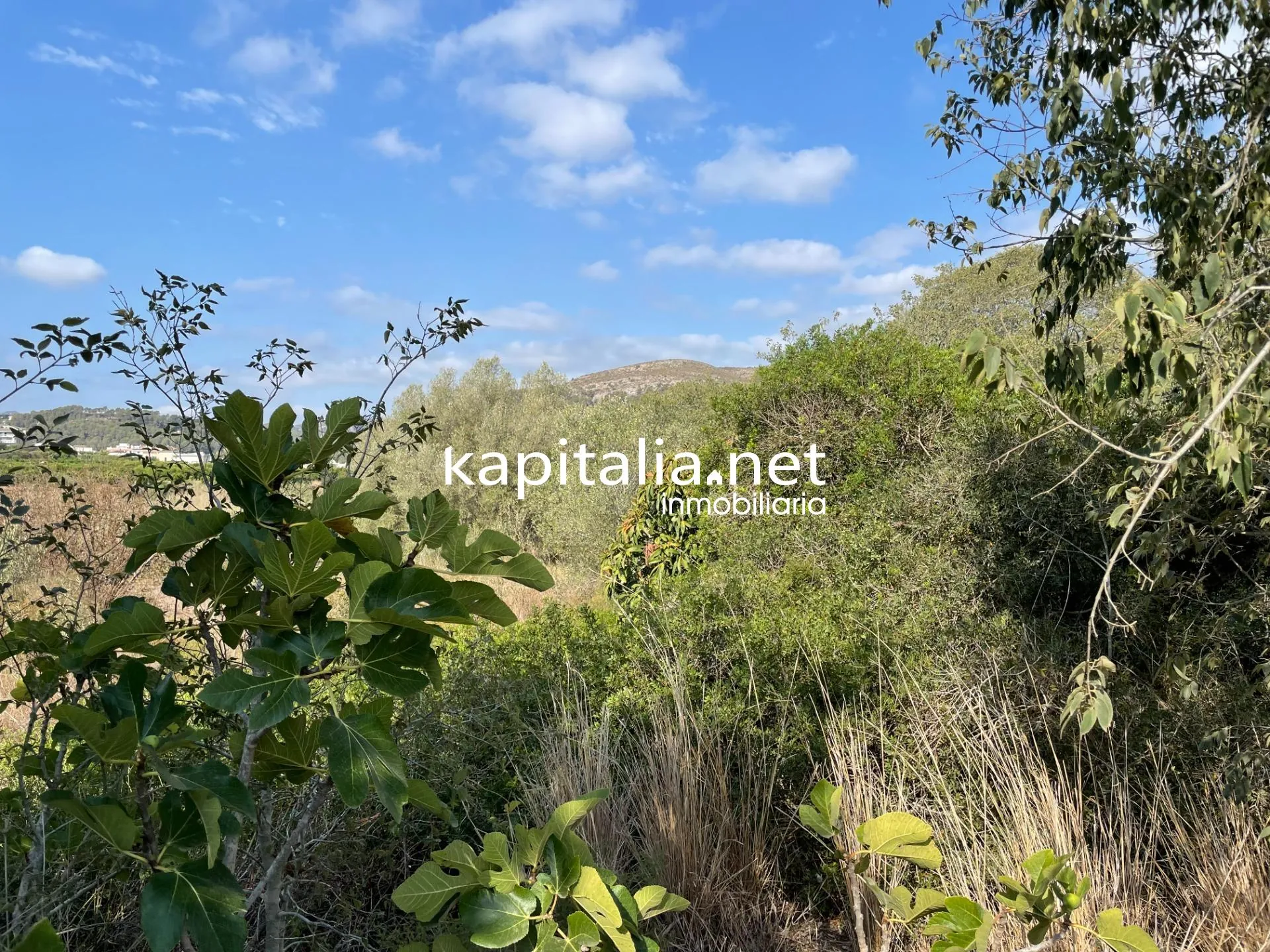 09385 - Terreno rural a la venta en Rótova