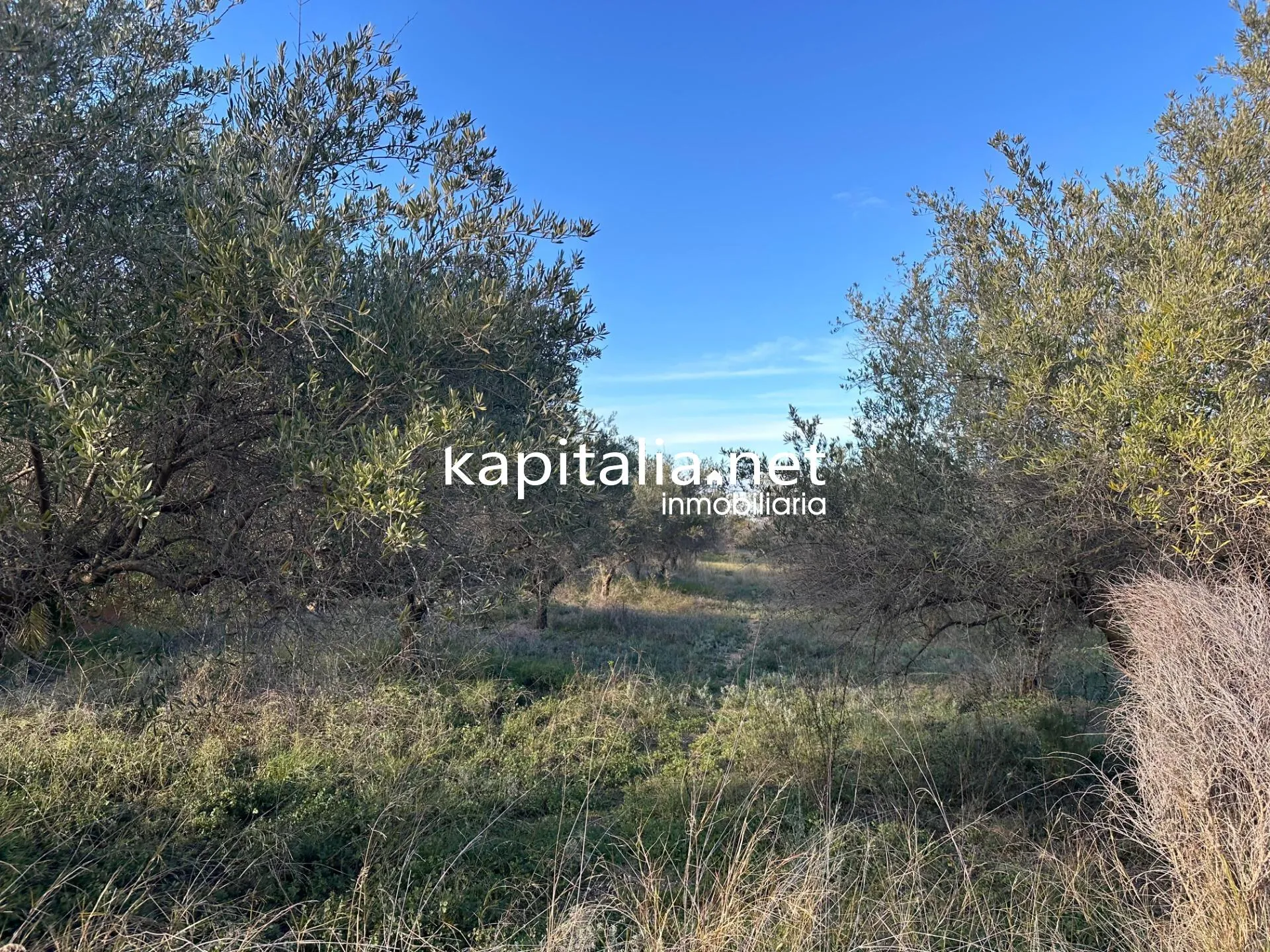 09678 - Property for Sale in Ontinyent