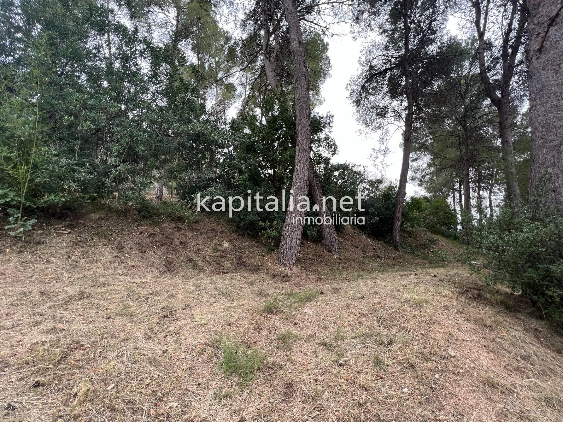 08167 - Oportunidad de terreno urbanizable en venta en Agullent