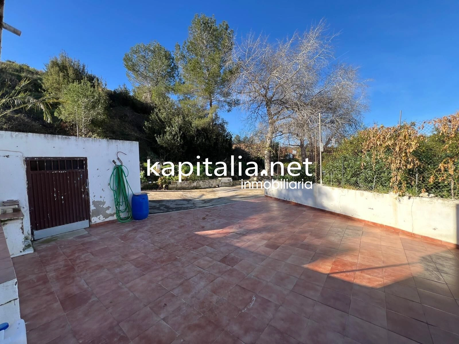09780 - FINCA DE NARANJOS A LA VENTA EN LA LLOSA DE RANES