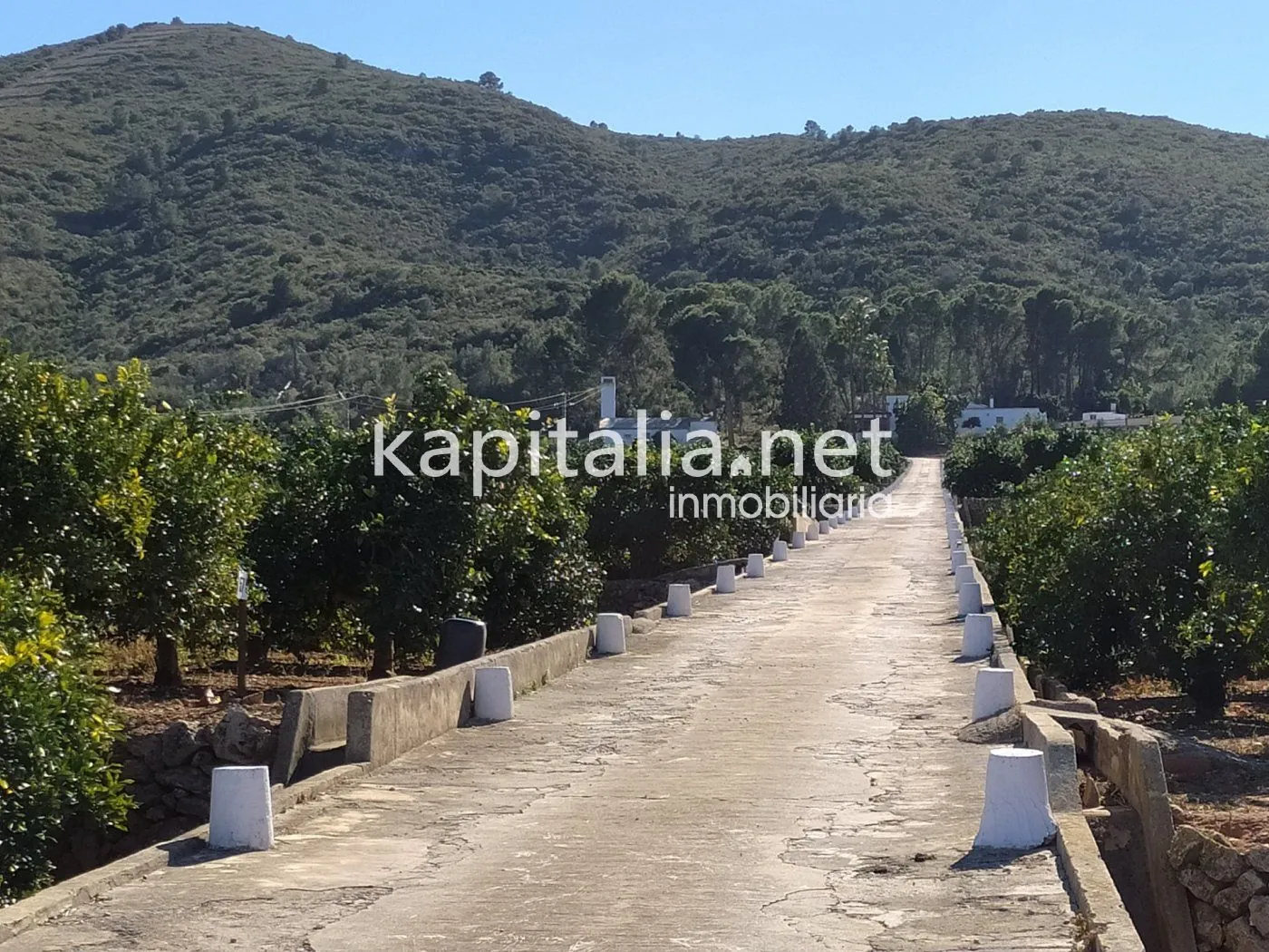 07230 - FINCA RÚSTICA A LA VENTA EN UN ENTORNO ÚNICO