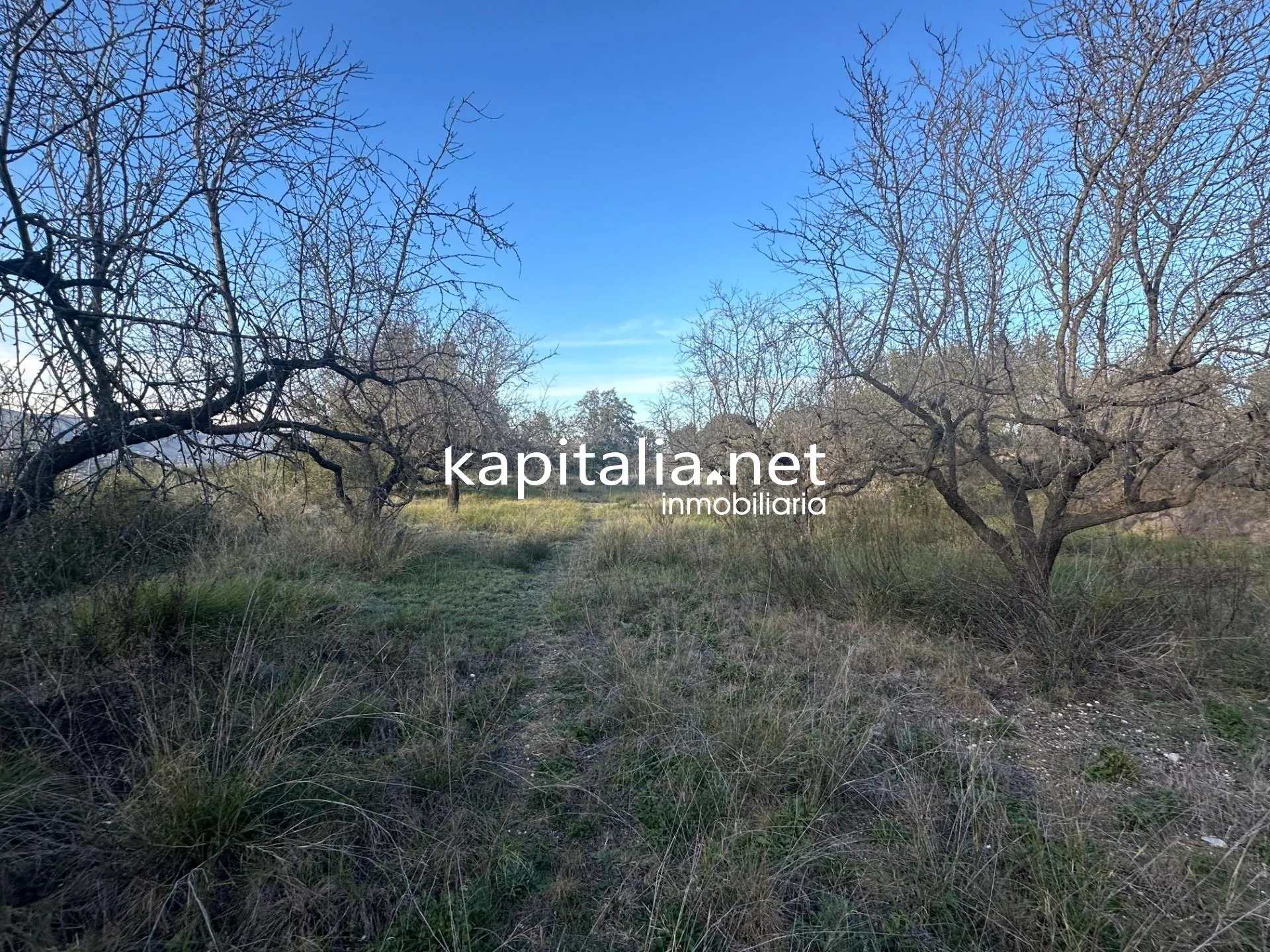 09678 - Property for Sale in Ontinyent