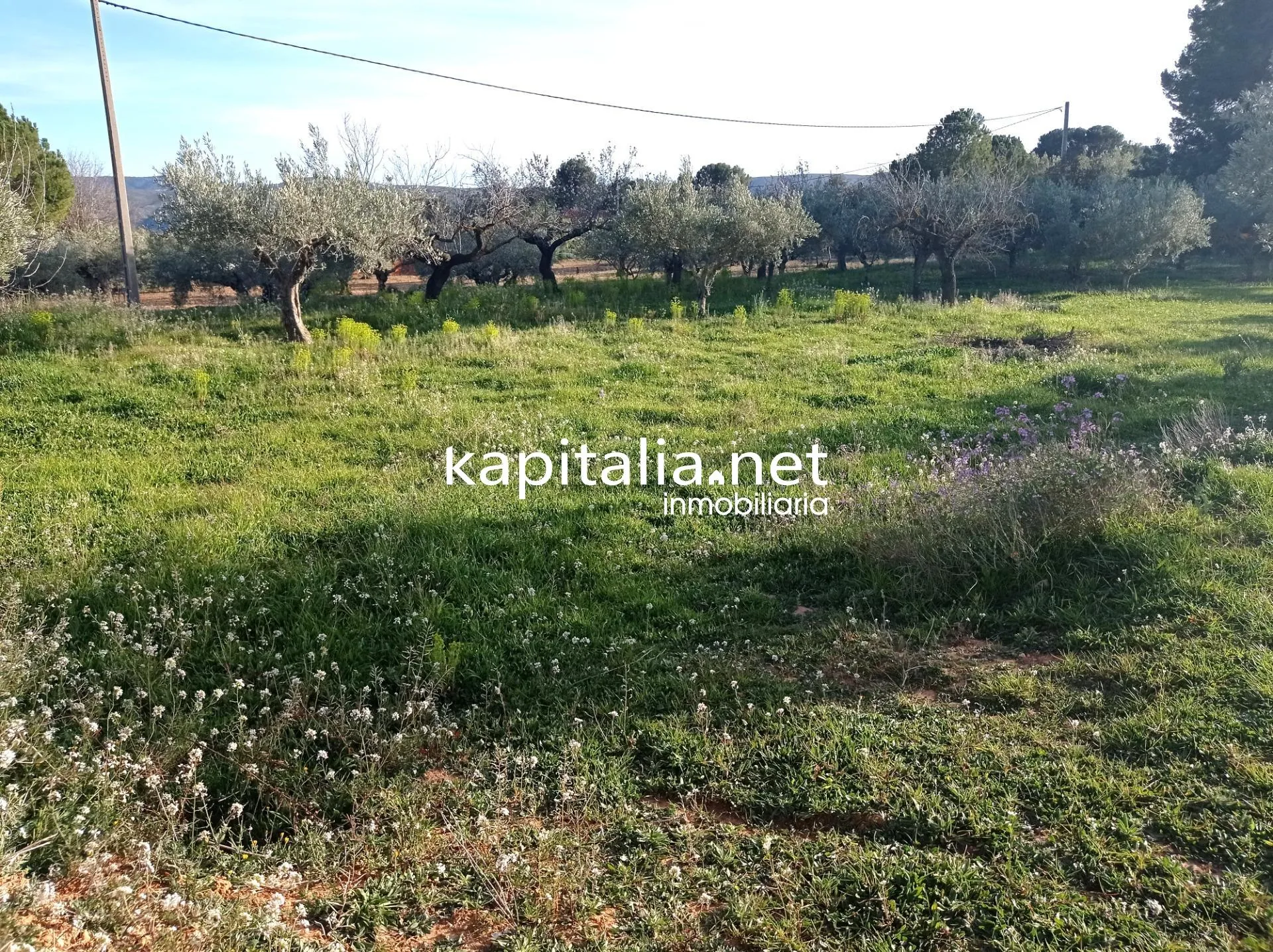 TERRENO A LA VENTA PARTIDA DE LA SOLANA A LA GARNACHA
