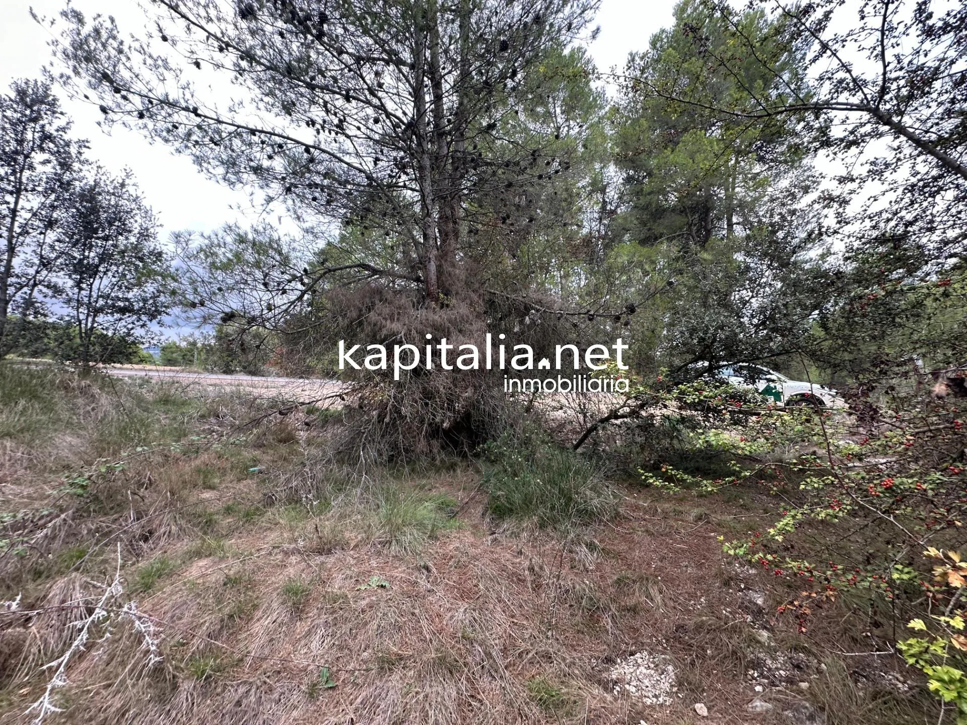 09442 - Parcela a la venta en Alfafara