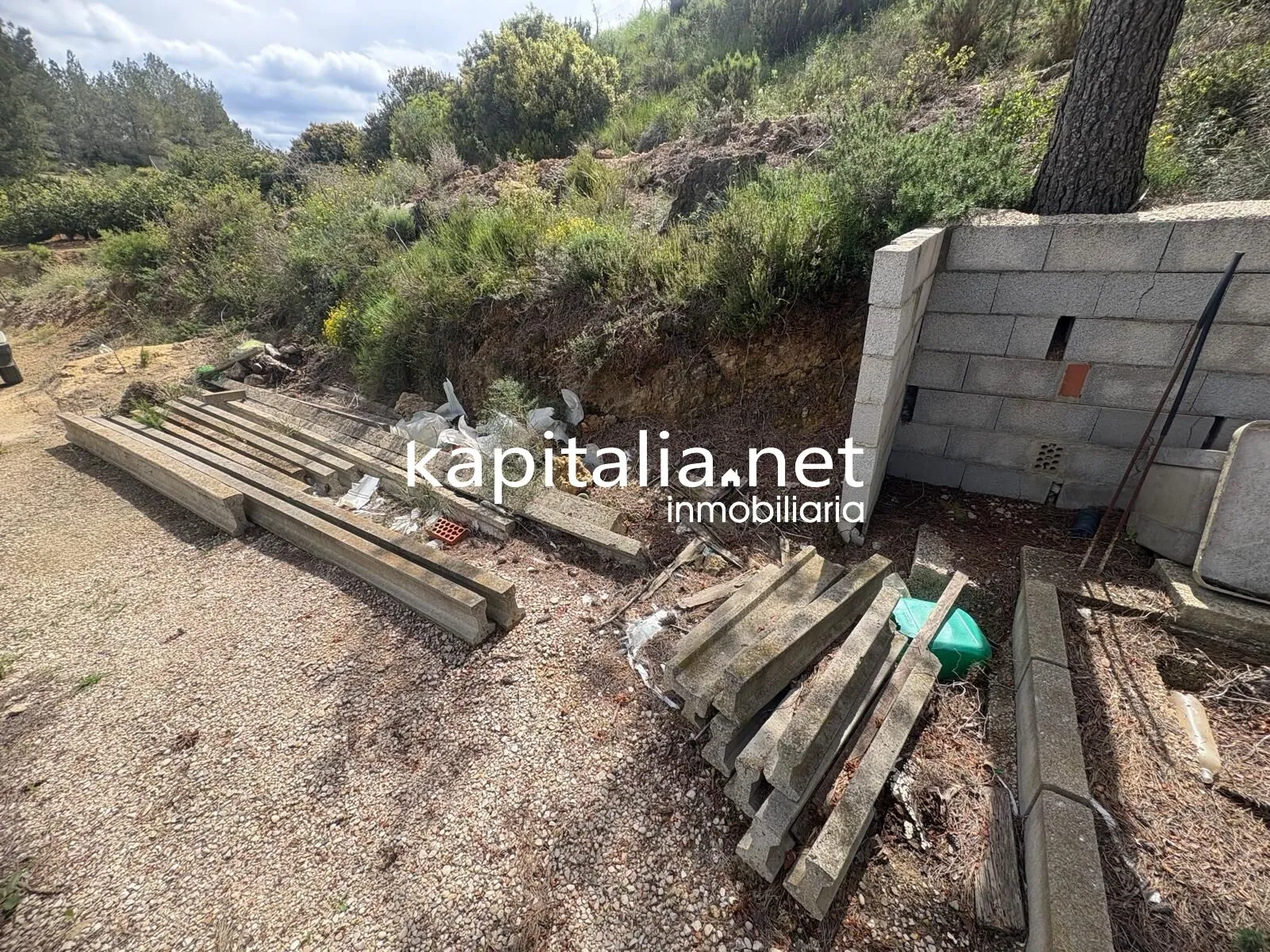 09867 - TERRENO RUSTICO AGRARIO EN PLENA PRODUCCION A LA VENTA EN XATIVA