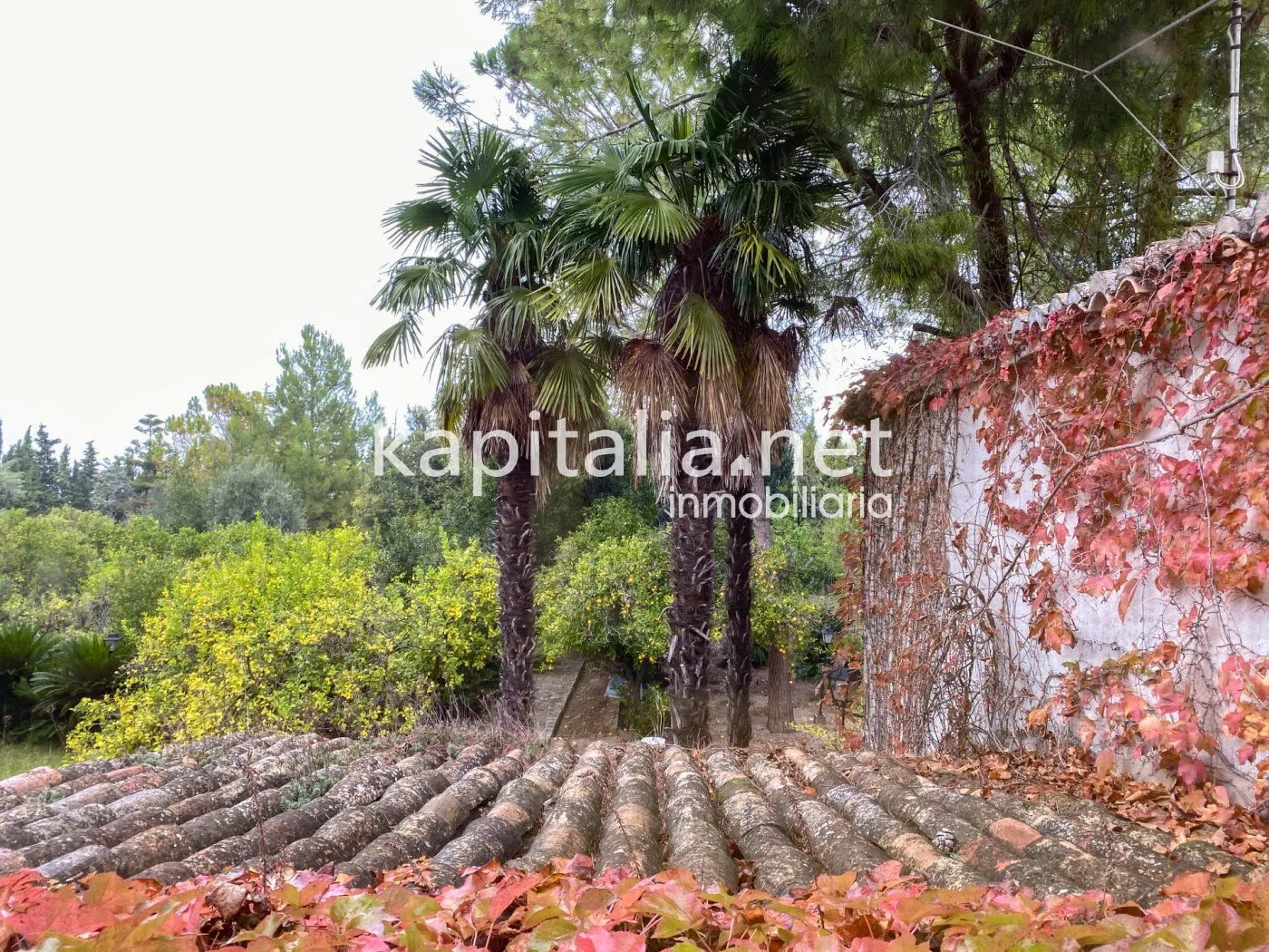 06369 - Casa señorial con gran jardín en el centro de Atzeneta d'Albaida