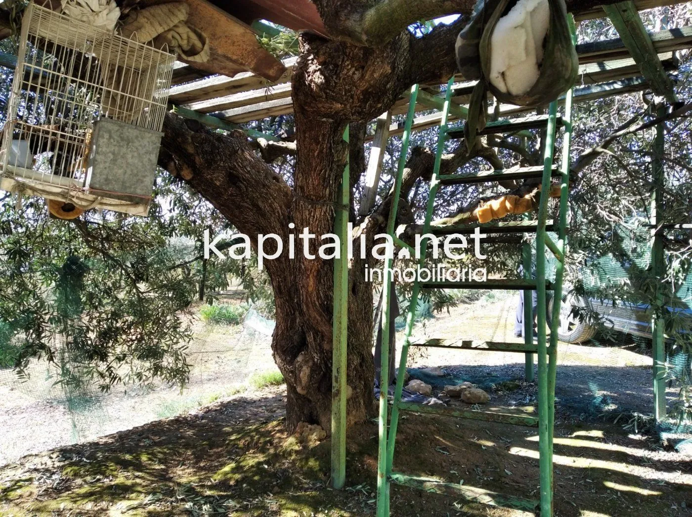 06597 - Casita con terreno a la venta en Agullent, zona Corral Nou.