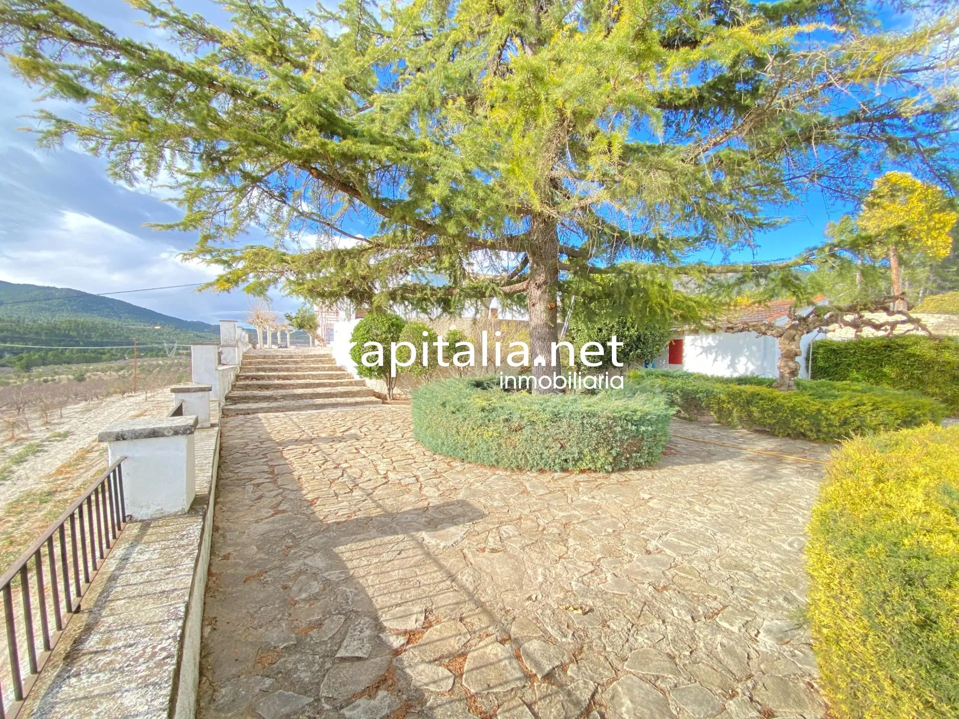 09843 - Masia en Penaguila