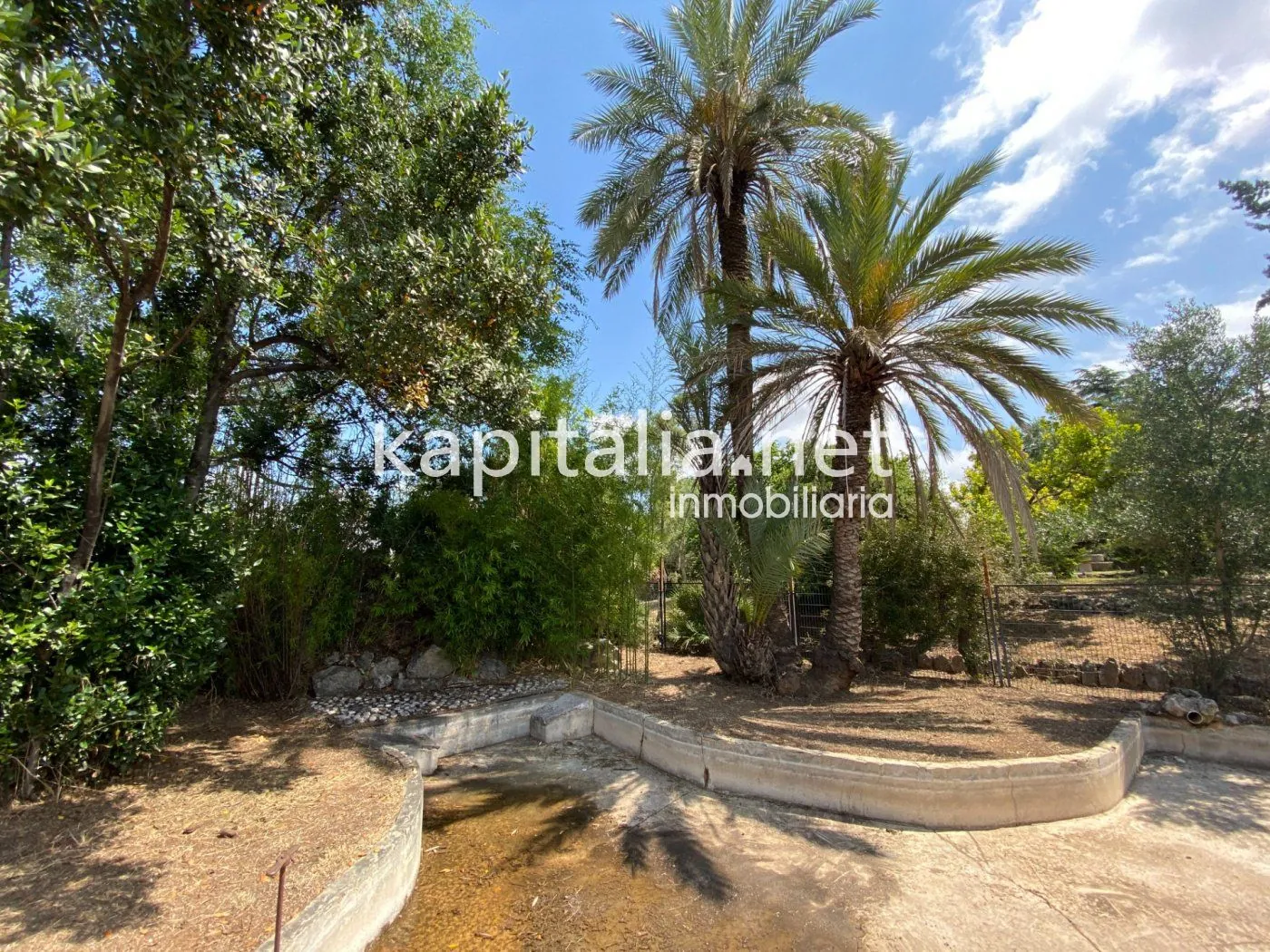 06306 - ESPECTACULAR FINCA A LA VENTA EN ALBAIDA