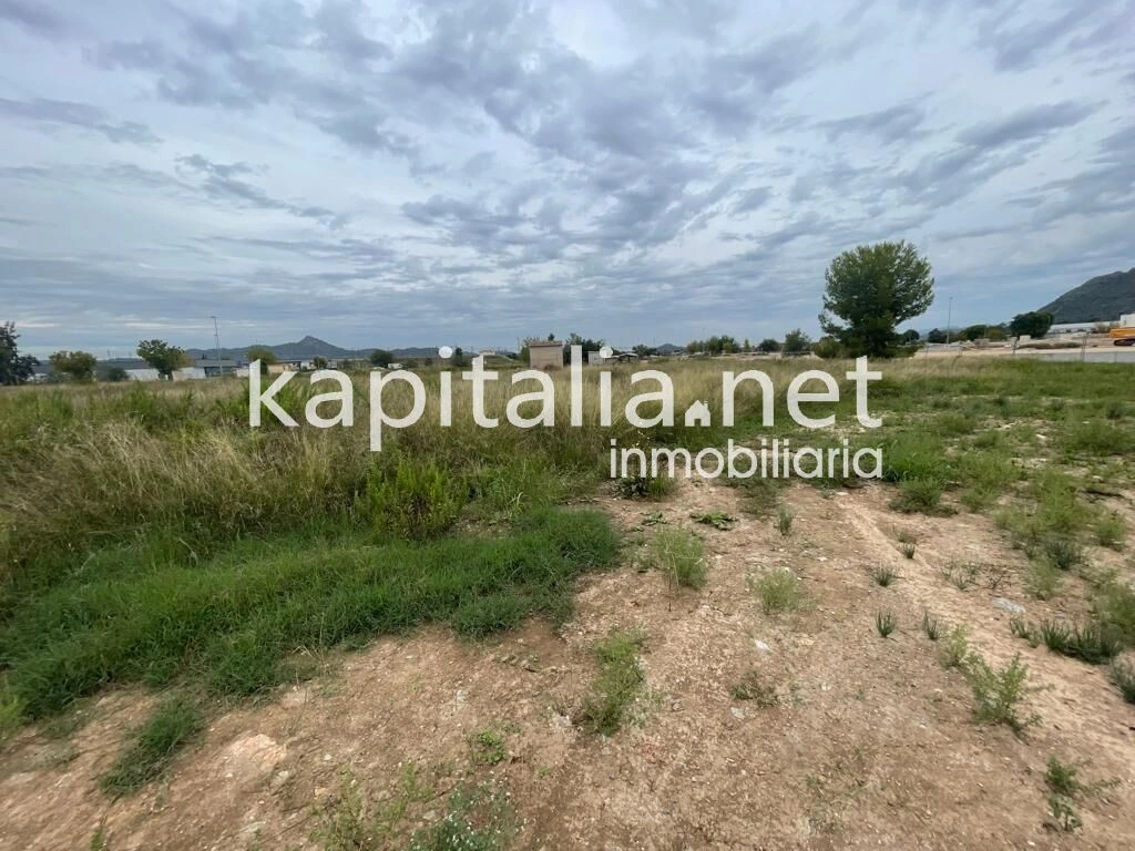 08667 - Parcela industrial a la venta en Xativa.