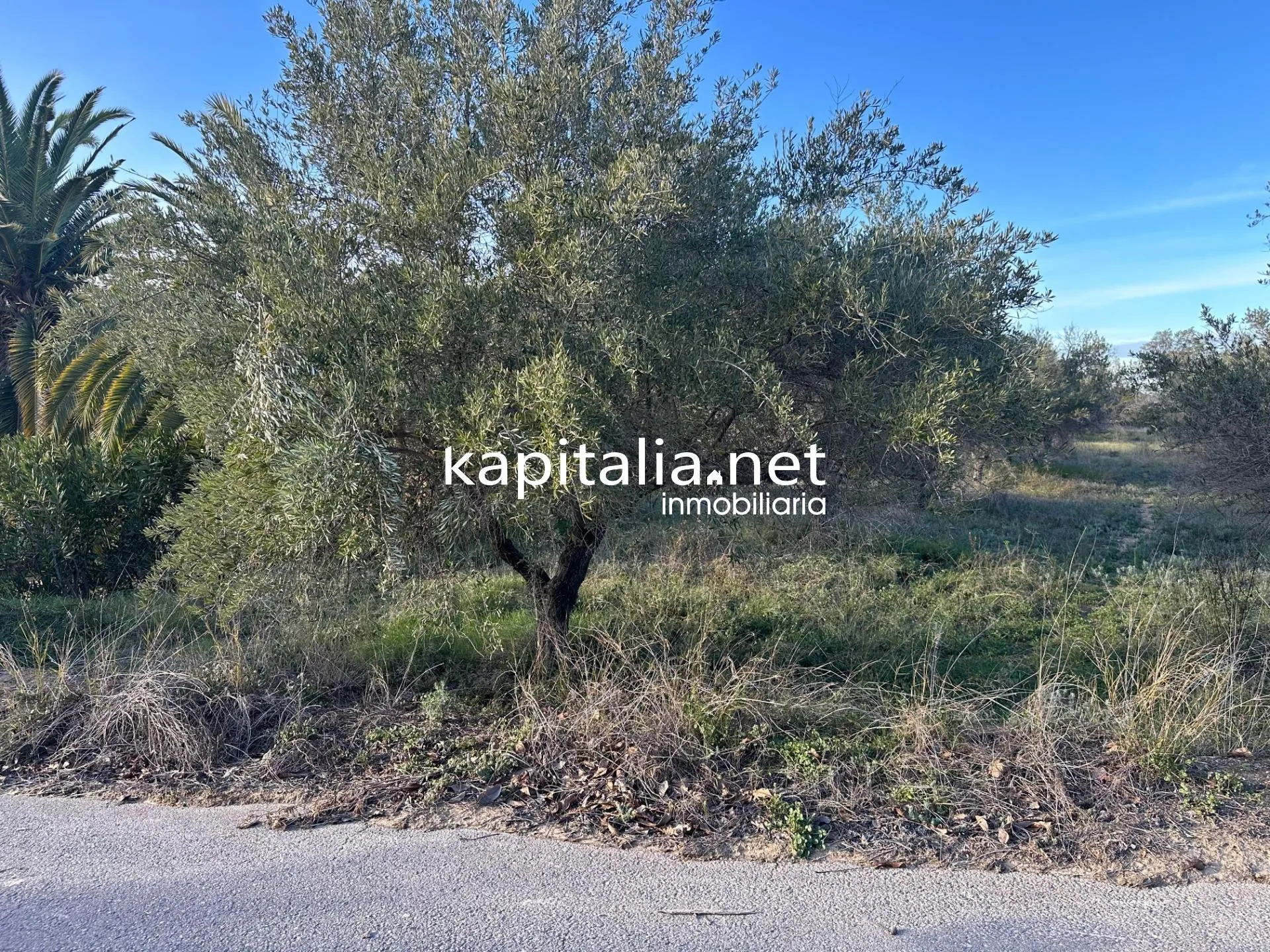 09678 - Property for Sale in Ontinyent