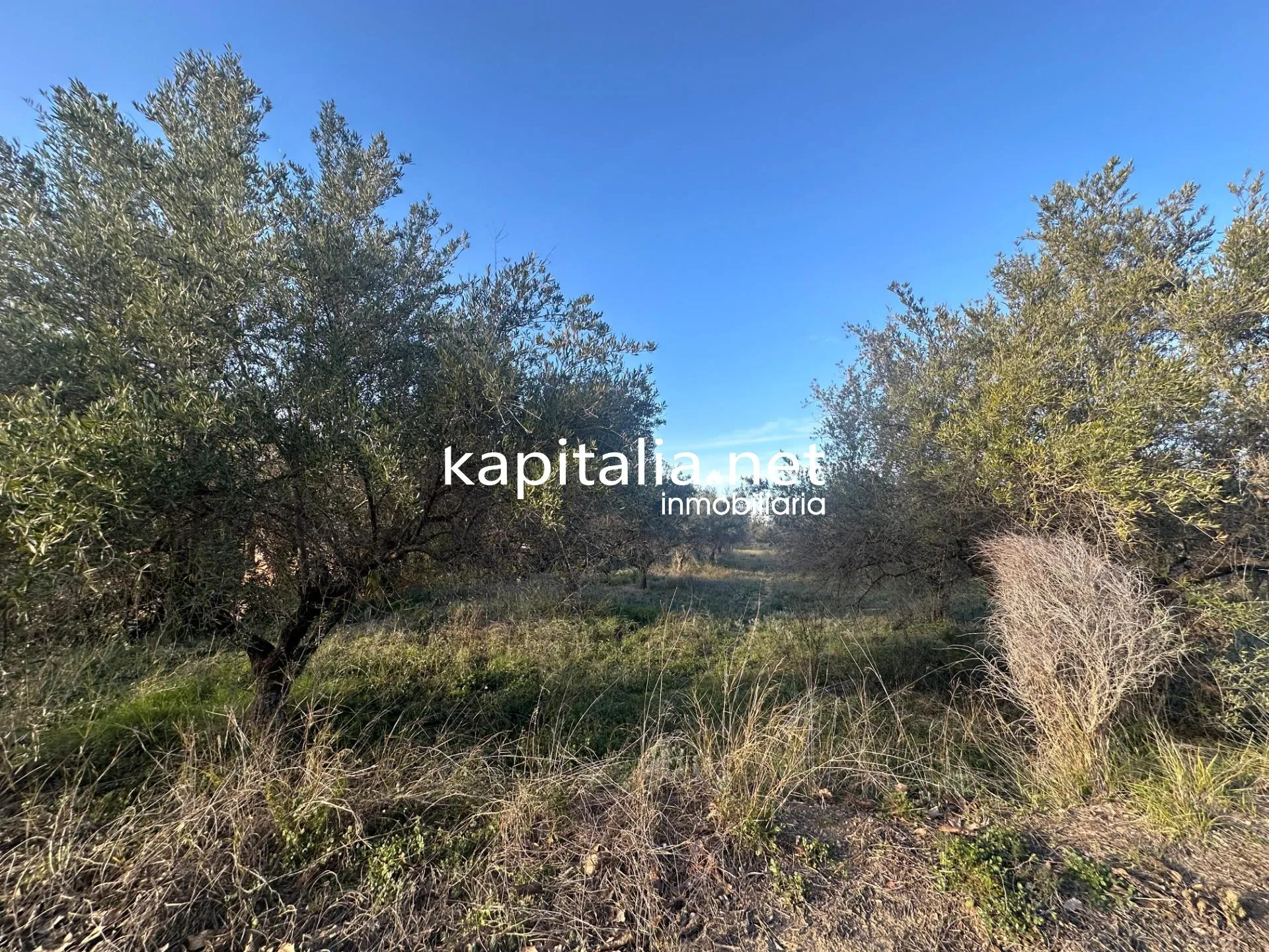 09678 - Property for Sale in Ontinyent