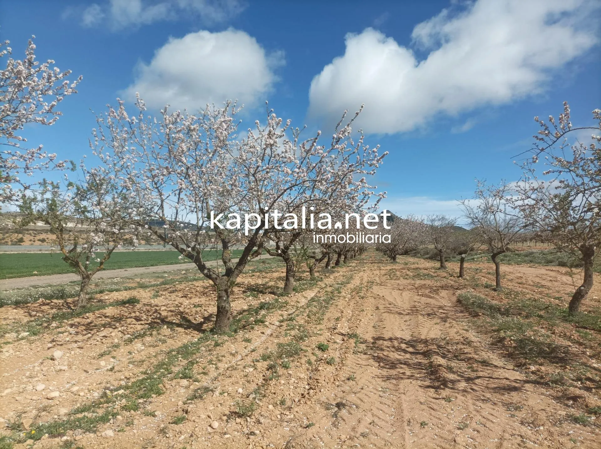 FINCA RUSTICA A LA VENTA