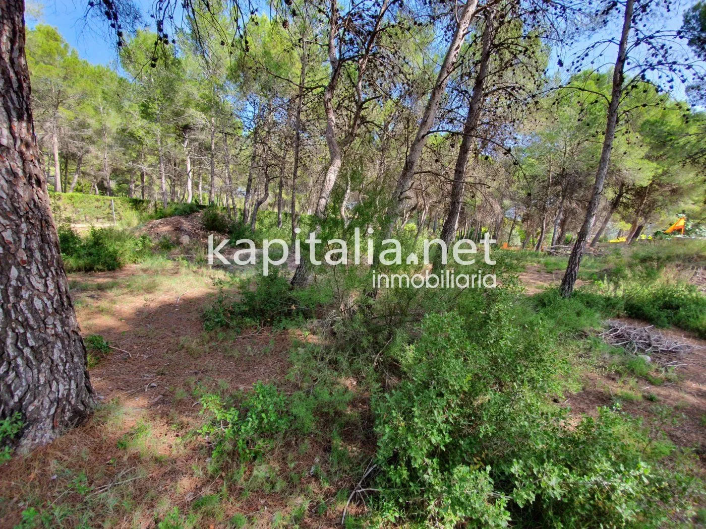 Eigendom te Verkoop in Ontinyent