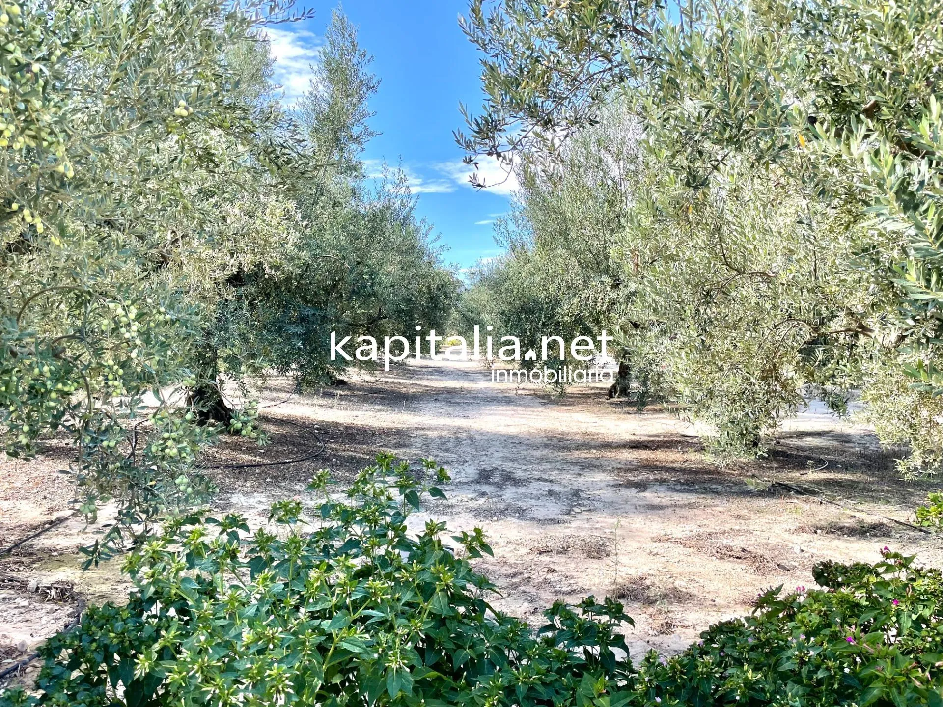 09469 - Chalet a la venta en Alquería d'Aznar.
