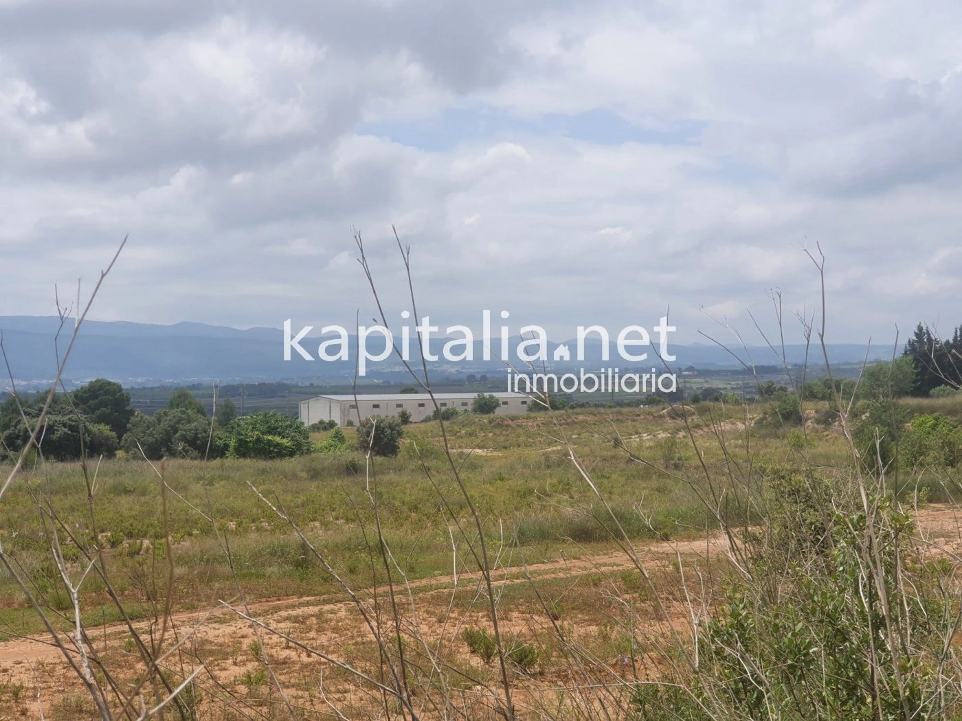 06886 - Terreno industrial a la venta en Olleria.