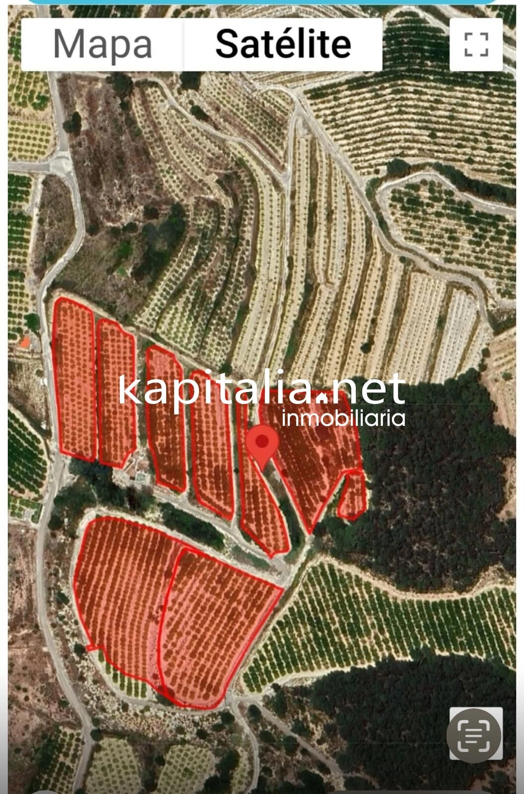 09780 - FINCA DE NARANJOS A LA VENTA EN LA LLOSA DE RANES