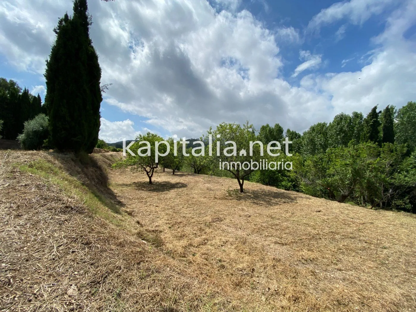 06306 - ESPECTACULAR FINCA A LA VENTA EN ALBAIDA