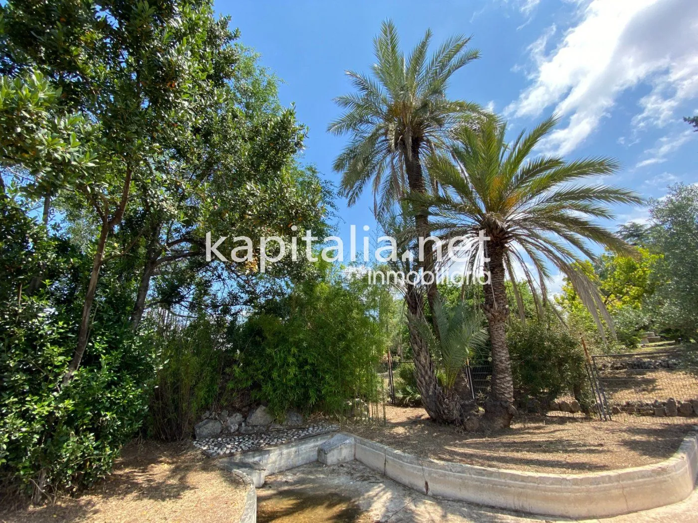 06306 - ESPECTACULAR FINCA A LA VENTA EN ALBAIDA