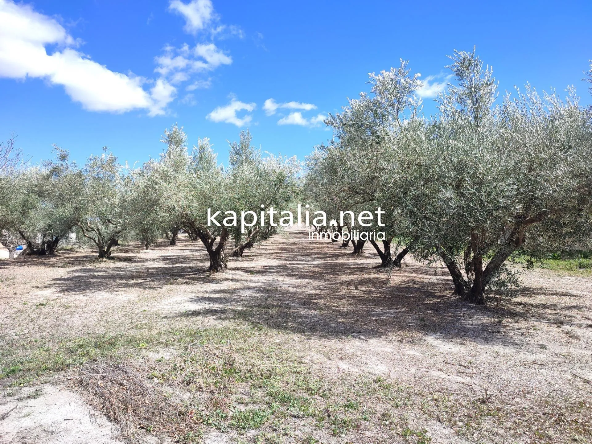 Eigendom te Verkoop in Ontinyent