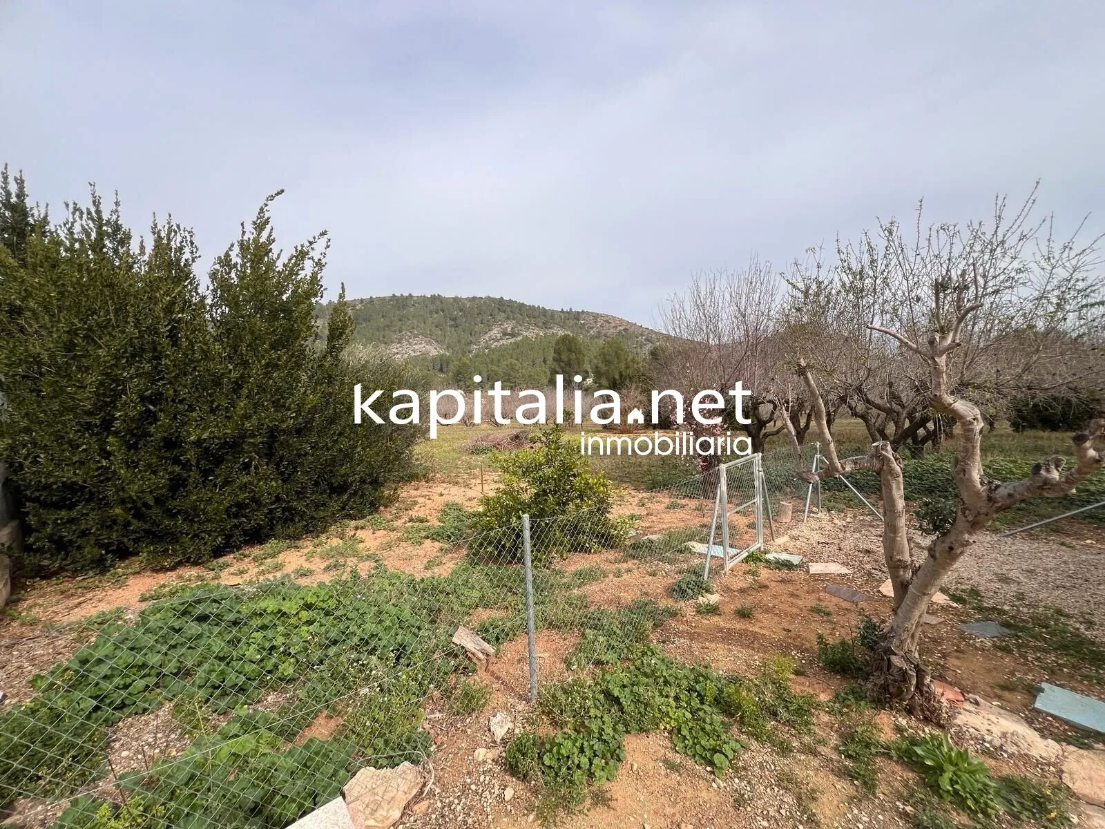 Chalet a la venta en l'Olleria