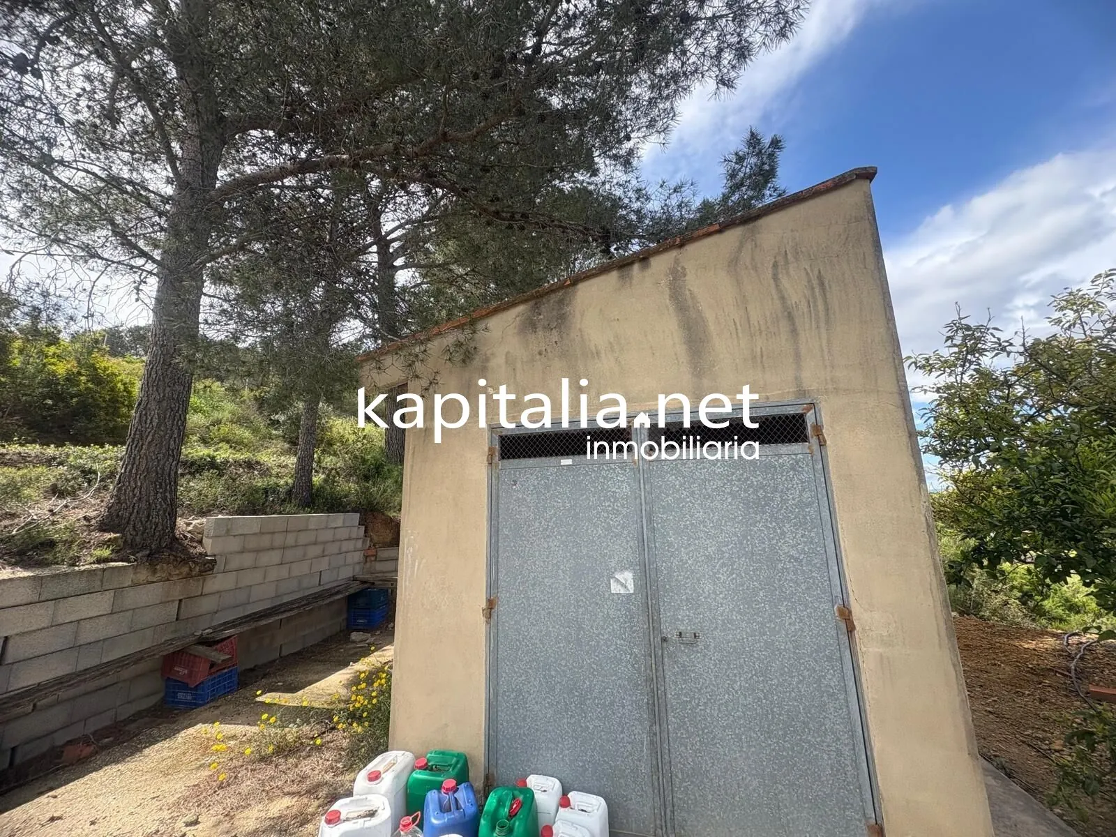 09867 - TERRENO RUSTICO AGRARIO EN PLENA PRODUCCION A LA VENTA EN XATIVA