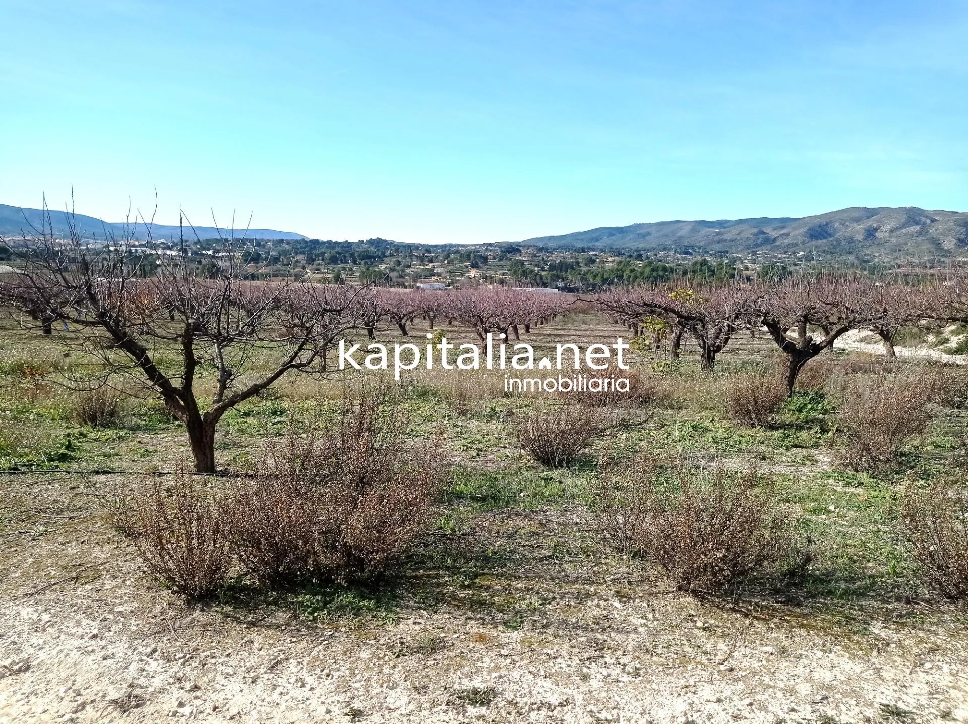 09636 - PARCELAS A LA VENTA EN LOS TERMINOS DE ONTINYENT Y AGULLENT, ZONA CALS XOPS Y CAL CANONGE