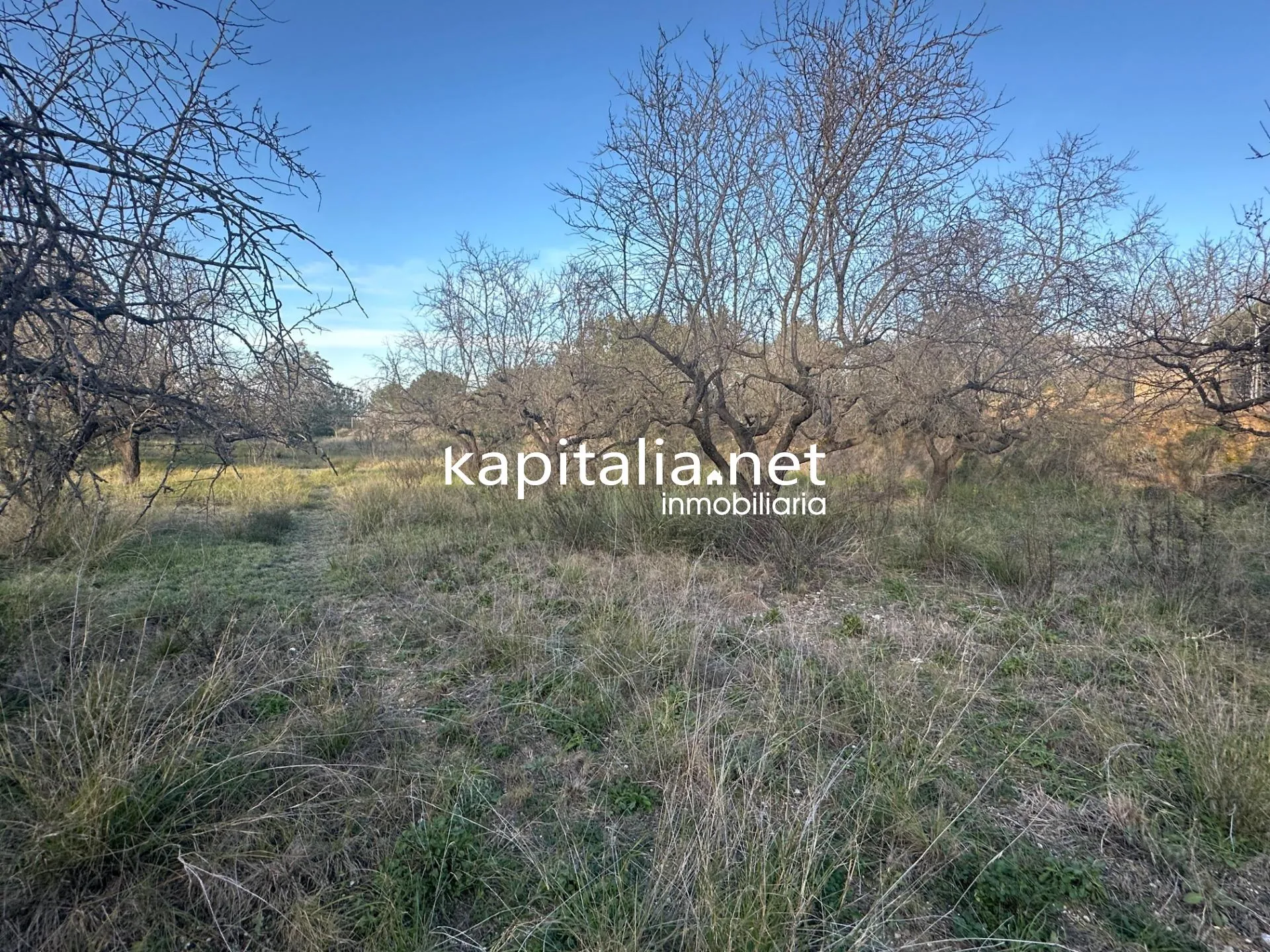 09678 - Property for Sale in Ontinyent