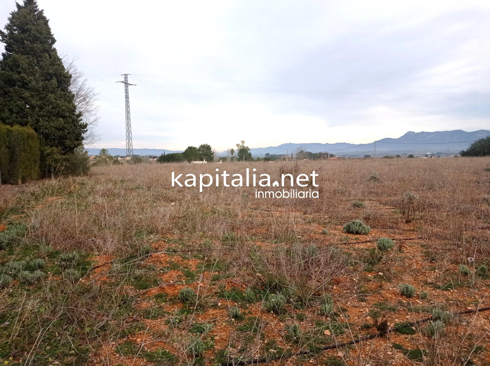 09680 - TERRENO A LA VENTA EN AIELO DE MALFERIT CON CASITA DE APEROS