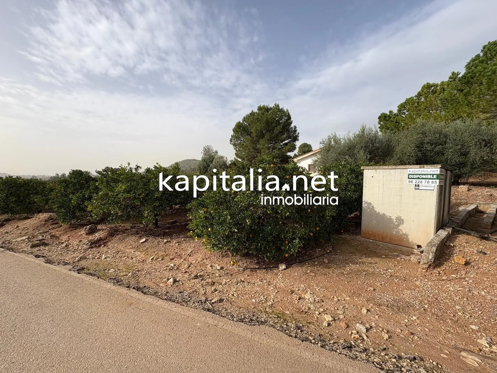 10221 - CAMPO DE NARANJOS A LA VENTA EN ROTGLA-CORBERA