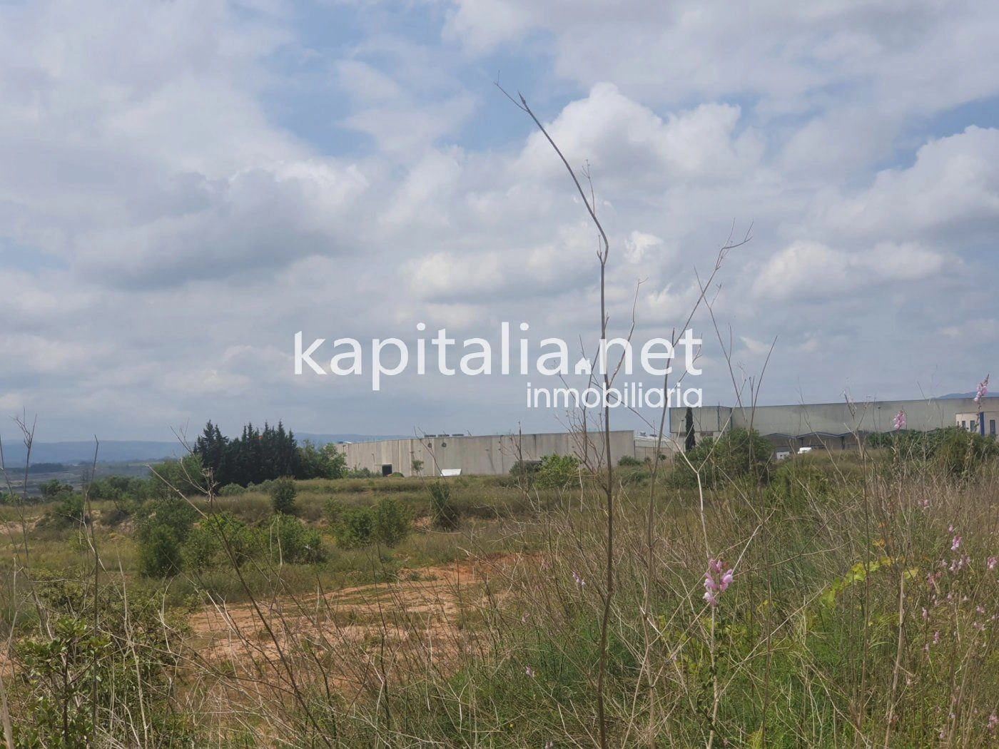 06886 - Terreno industrial a la venta en Olleria.