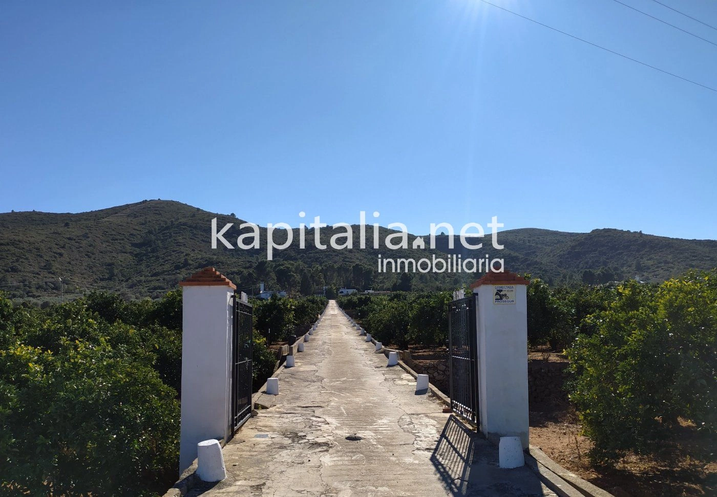 07230 - FINCA RÚSTICA A LA VENTA EN UN ENTORNO ÚNICO