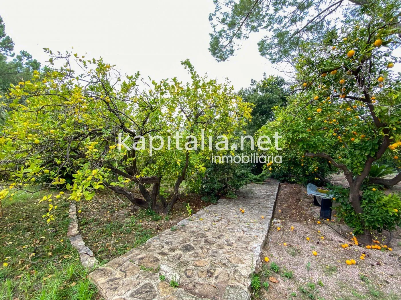 06369 - Casa señorial con gran jardín en el centro de Atzeneta d'Albaida