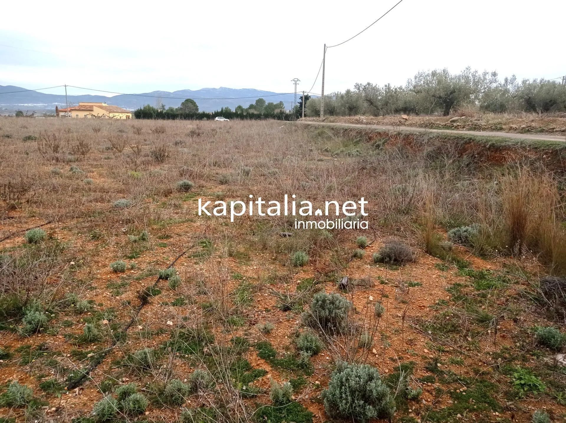 09680 - TERRENO A LA VENTA EN AIELO DE MALFERIT CON CASITA DE APEROS