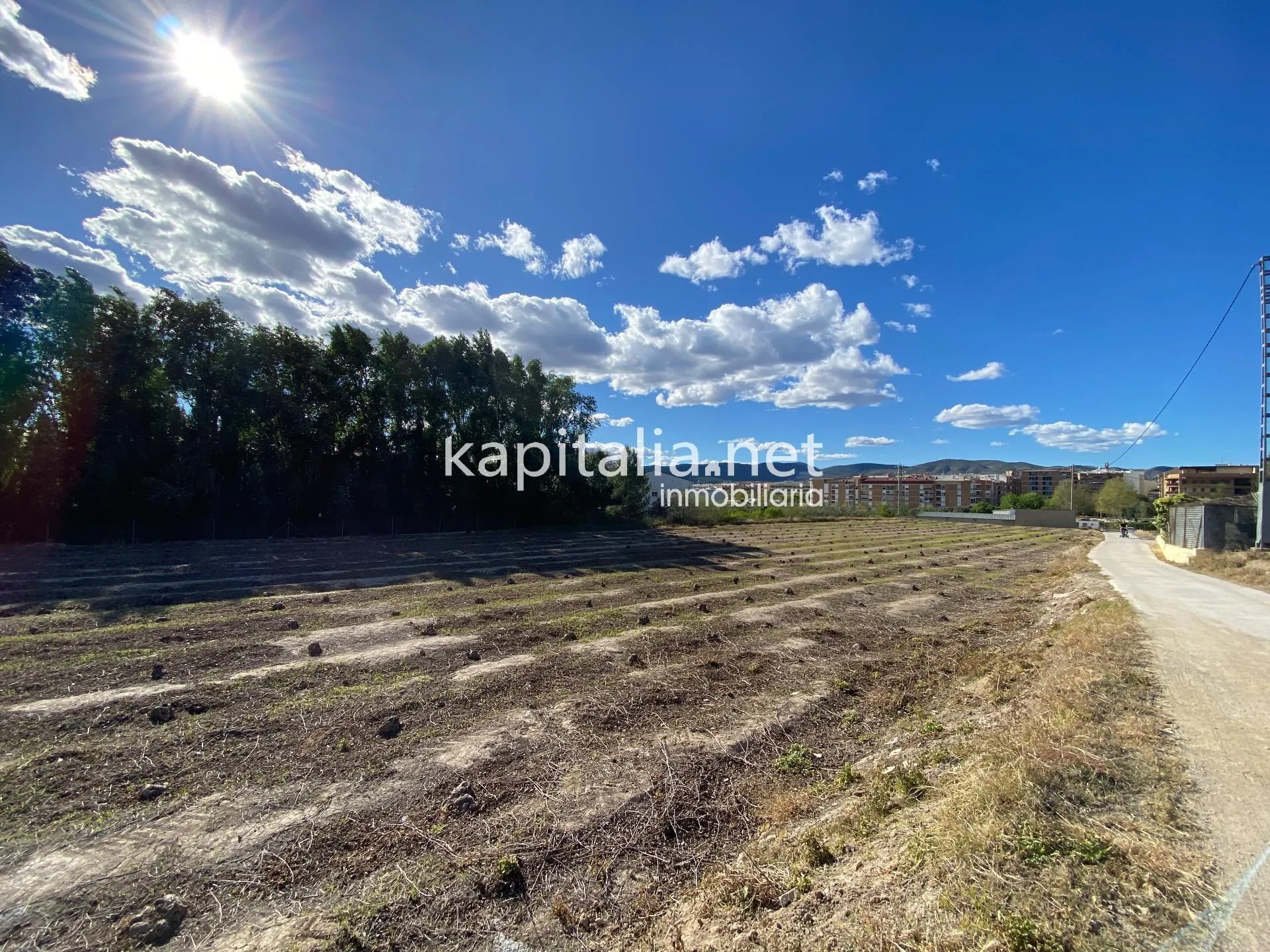 08219 - Terrenos agrícolas en venta en Ontinyent