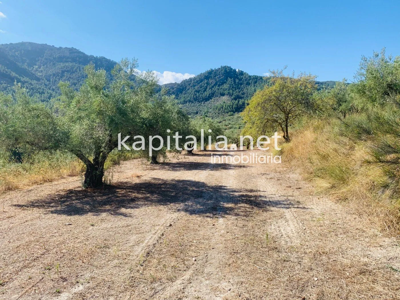 Parcela a la venta en Alfafara.