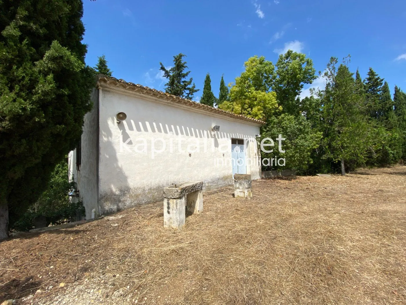 06306 - ESPECTACULAR FINCA A LA VENTA EN ALBAIDA